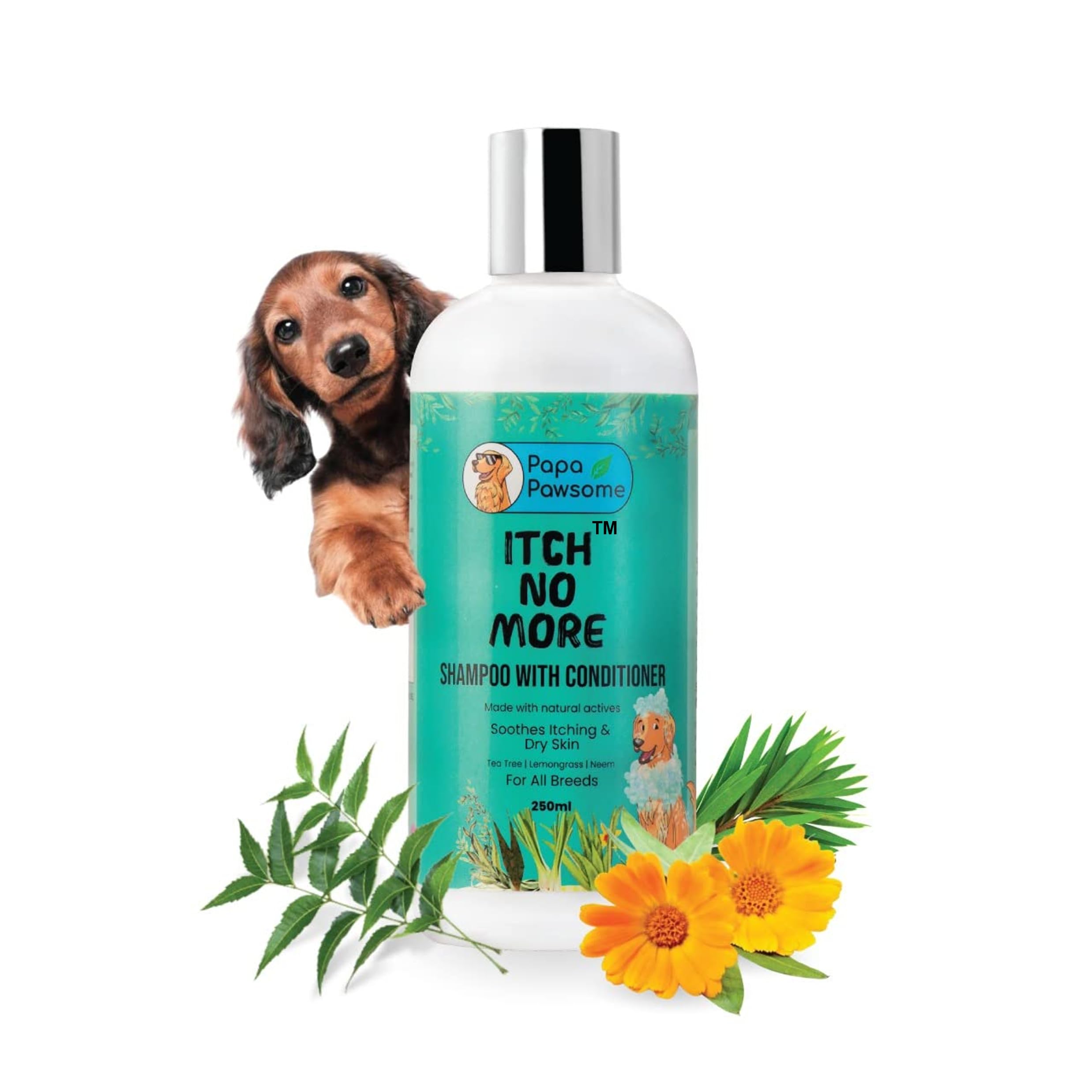 Papa Pawsome Itch No More Shampoo Plus Conditioner,For Dogs Clean Coat,Fresh Coat,Conditions Enriched With Tea Tree Oil|Lemongra