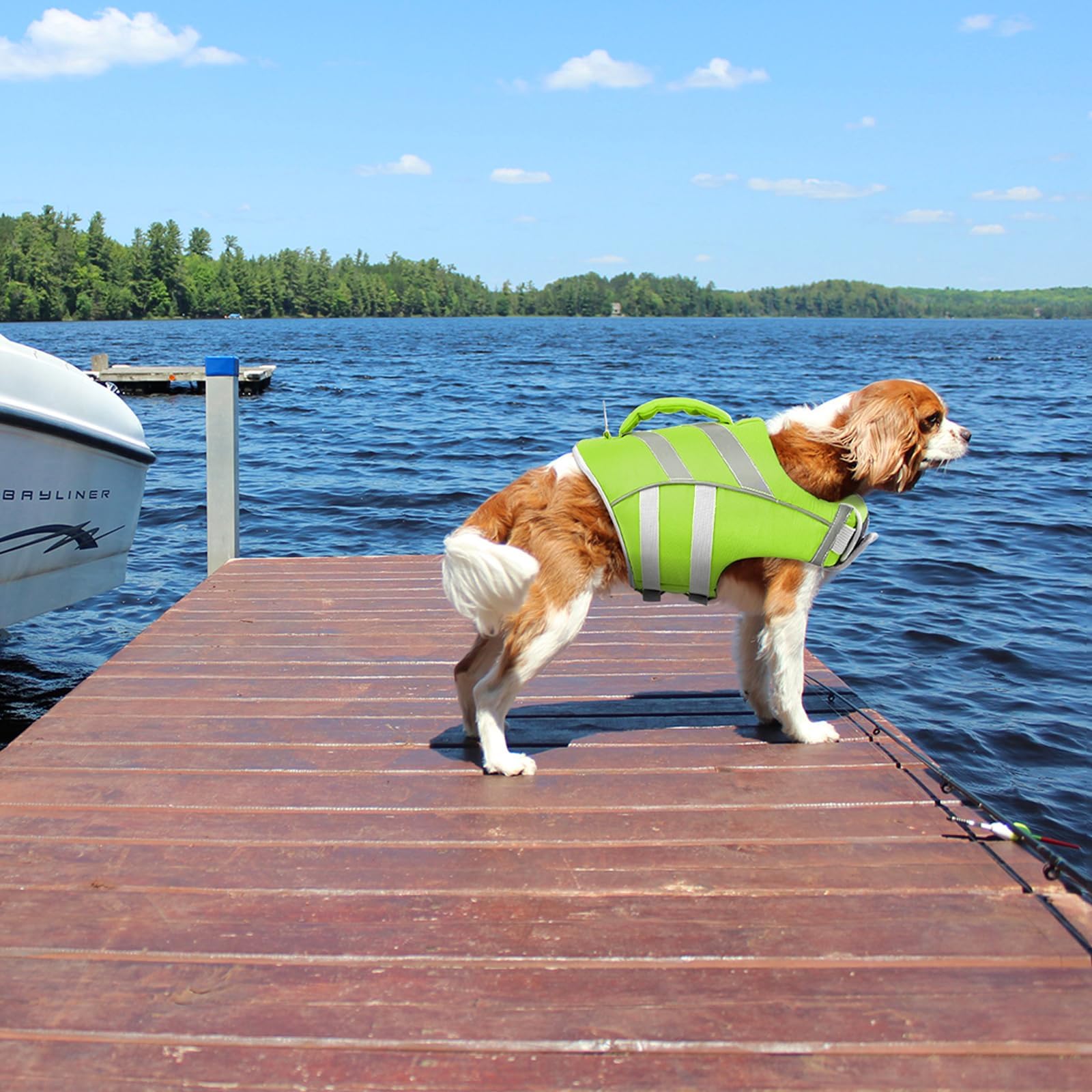 Kuoser Small Dog Life Jacket High Flotation, Reflective Dog Life Vest for Swimming Boating, Adjustable Small Dog lifejacket, Lig