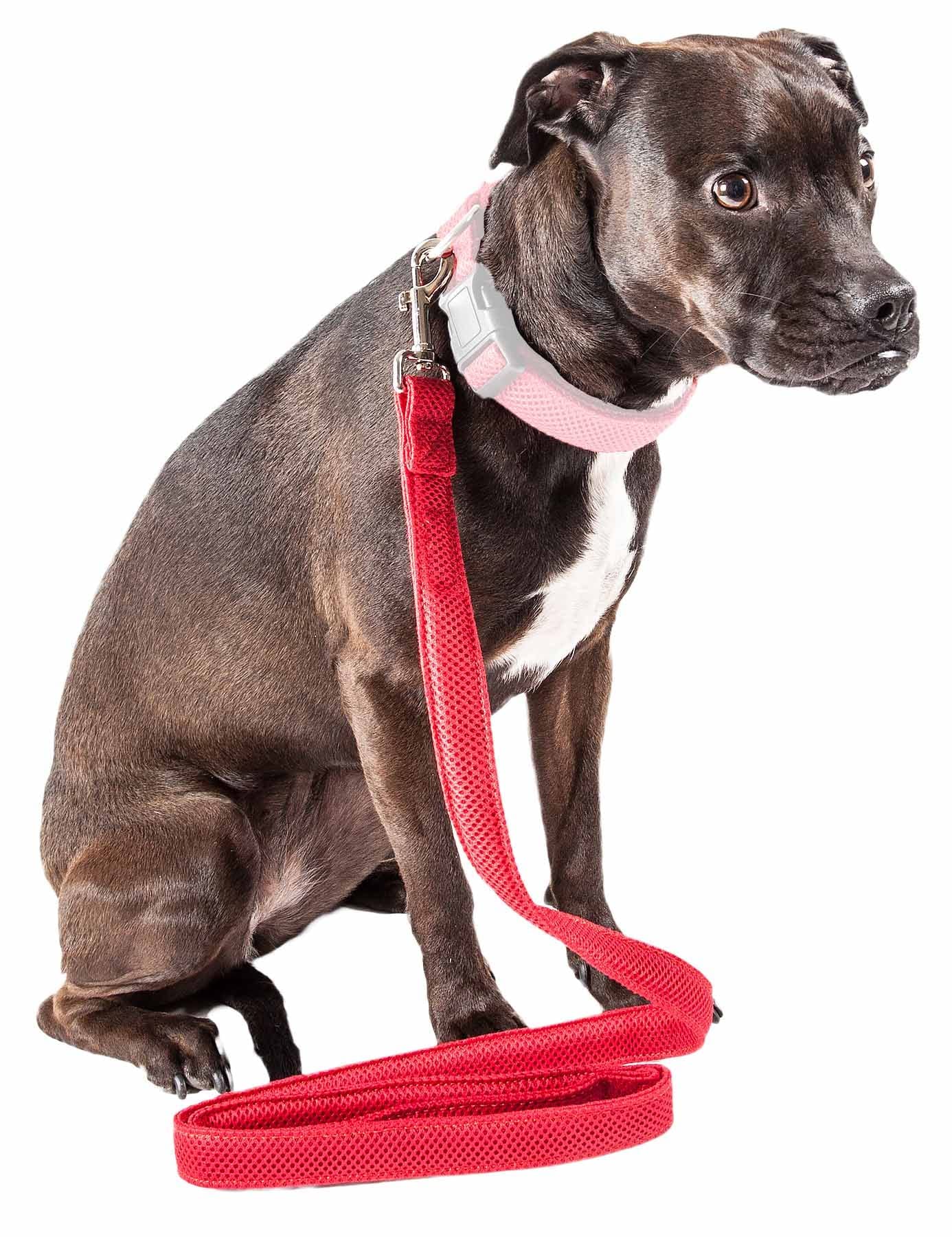 Pet Life ® Aero Mesh Dog Leash Featuring Dual-Sided Ventillated Mesh - Connects to Any Dog Harness or Dog Collar with Swivel-Hook for Multi-Directional Pet Leash Pull