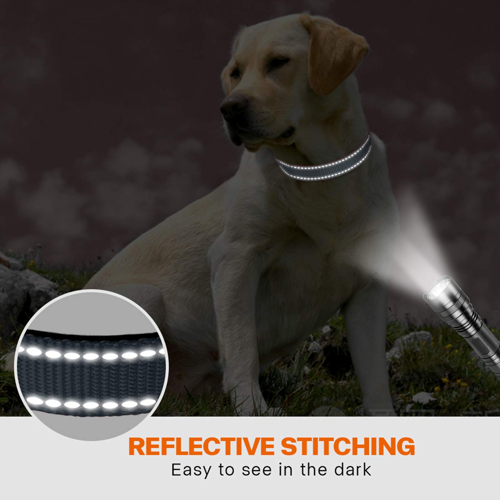 Taglory Reflective Dog Collar With Safety Locking Buckle, Adjustable Nylon Pet Collars For Medium Dogs, Grey