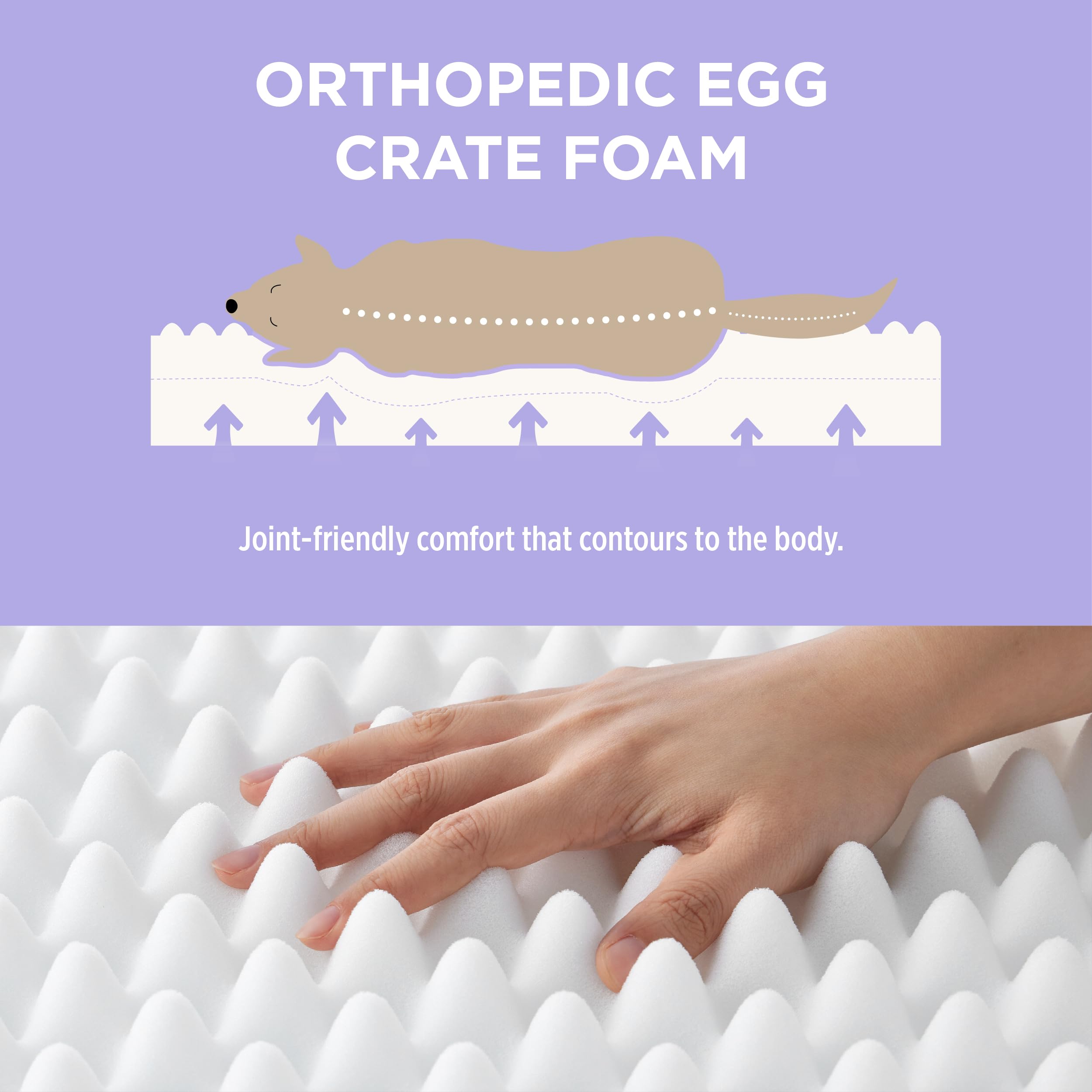 Lesure Cute Orthopedic Dog Bed For Small Dogs, Waterproof Chic Flat Pet Beds With Removable Washable Cover, Fuzzy Thick Egg Crat