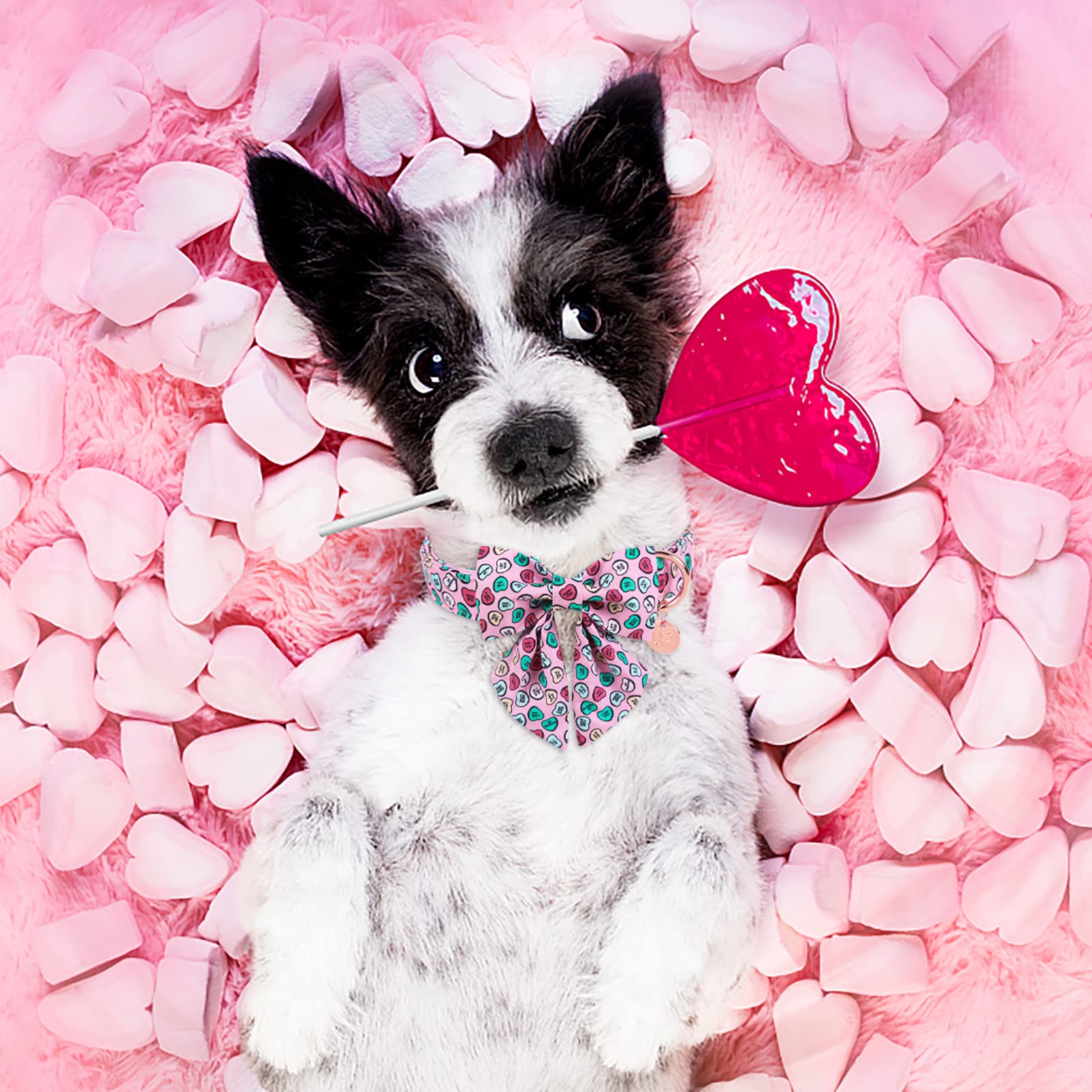 Up Urara Pup Valentine’S Day Dog Collar With Bow Tie, Valentine Bowtie Collar For Small Girl Boy Dog, Valentine’S Day & Wedding Gift Pet Collar, Cotton Pink Collar With Metal Buckle, S, Neck 10-16In