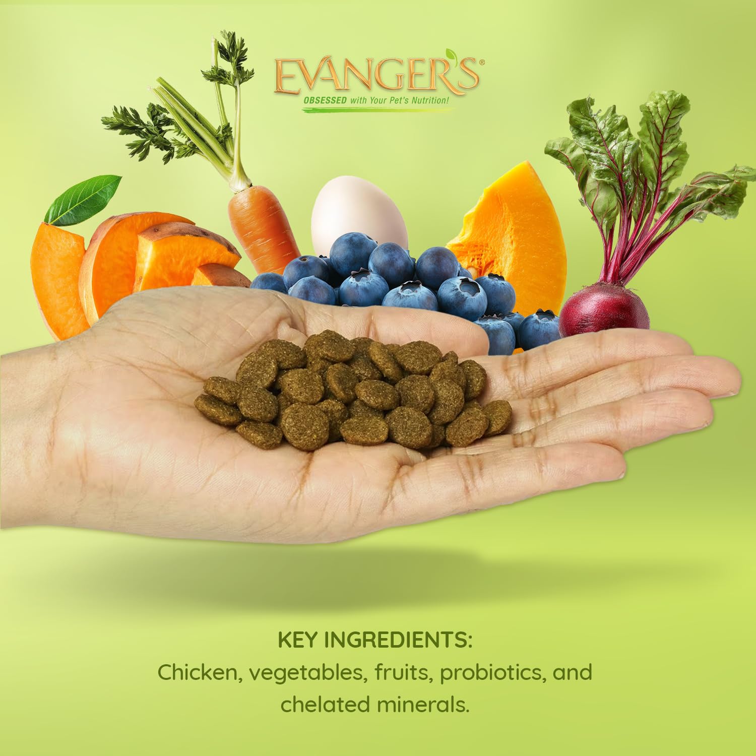 Evangers Grain-Free Chicken with Sweet Potato & Pumpkin for Dogs, 16.5 lb Bag
