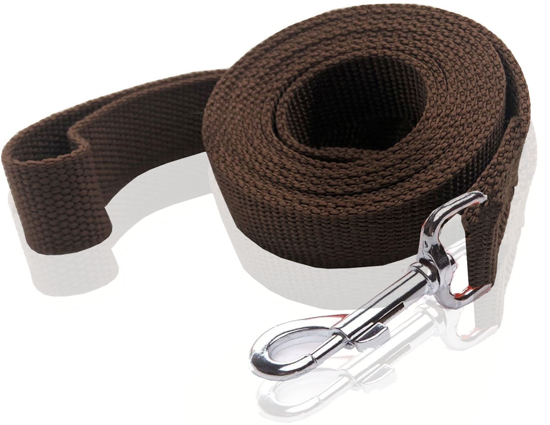 Nylon Dog Leash 4 Ft 5 Feet 6 Foot Long, Walking Training Dog Leashes For Medium Large Dogs, 1 Inch Wide (1'' X 6 Ft, Brown)