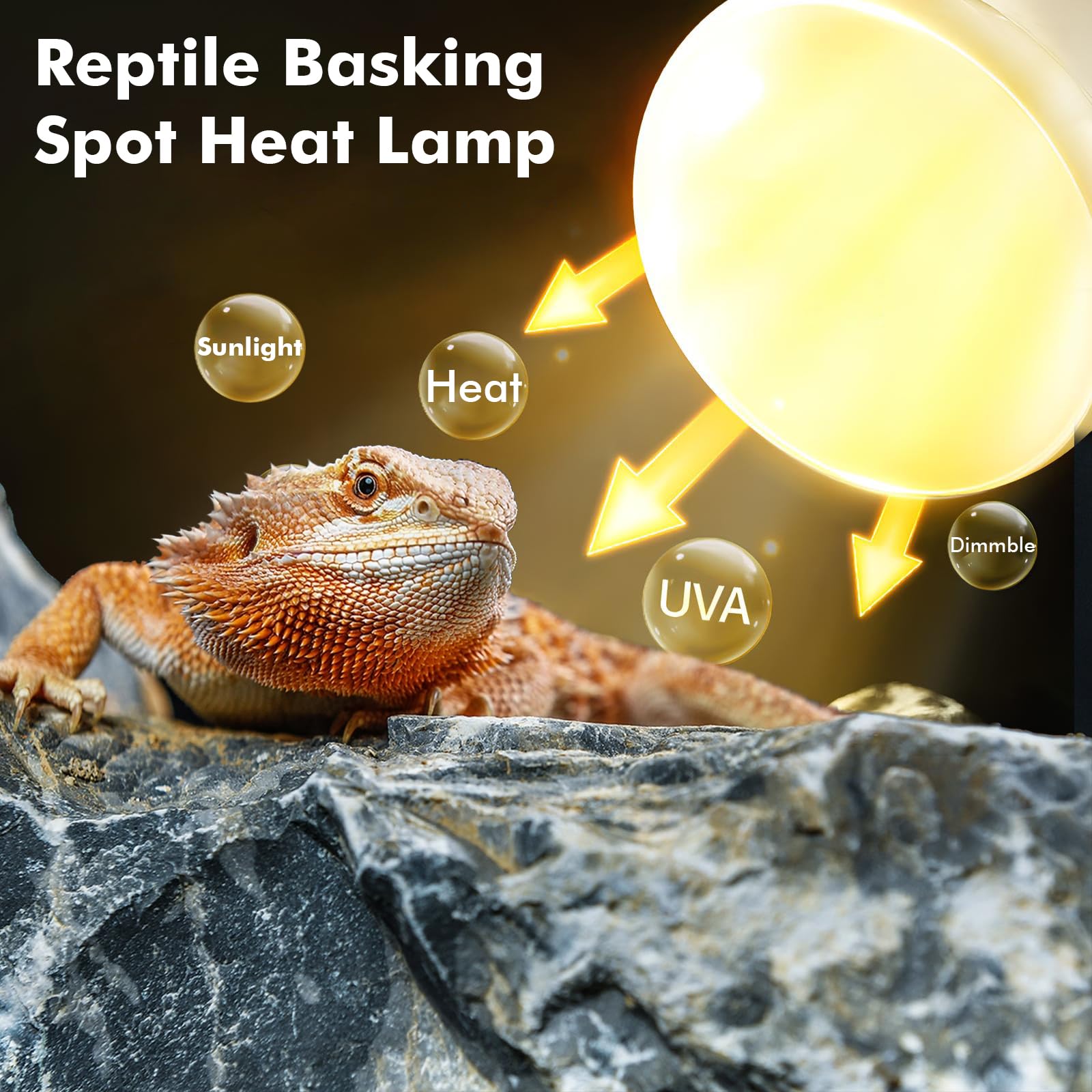 YUNCHY Reptile Heat Lamp, 100W Heat Lamp Bulbs for Reptiles 2 Pack, Amphibians Basking Heat Lamp Bulbs, UVA Daylight Basking Lig
