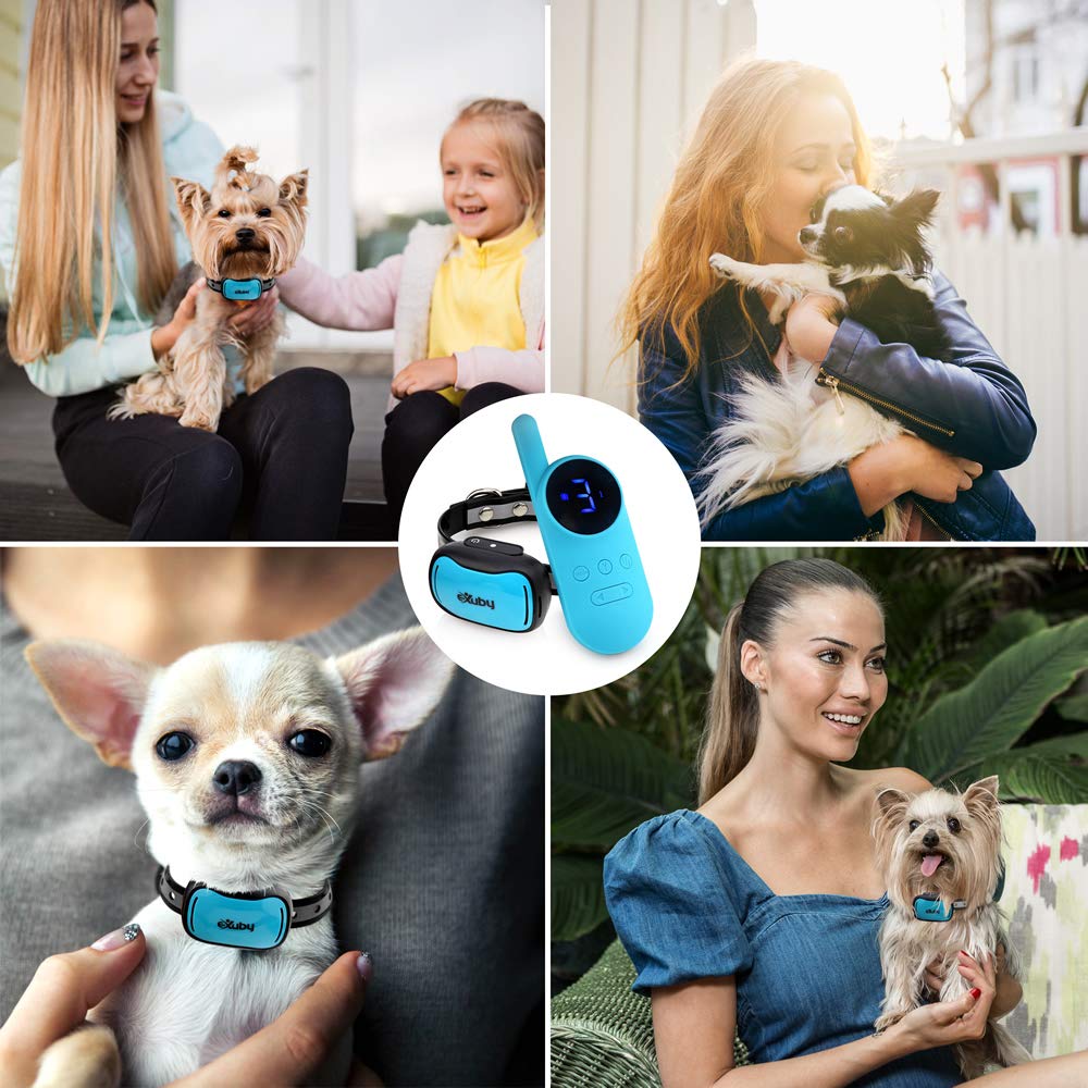 eXuby Tiny Shock Collar for Small Dogs 5-15lbs - Water-Resistant, Teal, Model EXBTZ812, 9 Intensity Levels, Small Size, Plastic Material