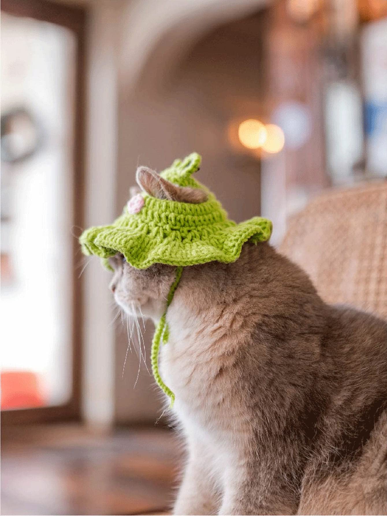 Qwinee Cartoon Design Knit Cute Dog Hat Soft Cat Hat Rabbit Hat Halloween Christmas Party Costume Head Wear Accessories For Pupp