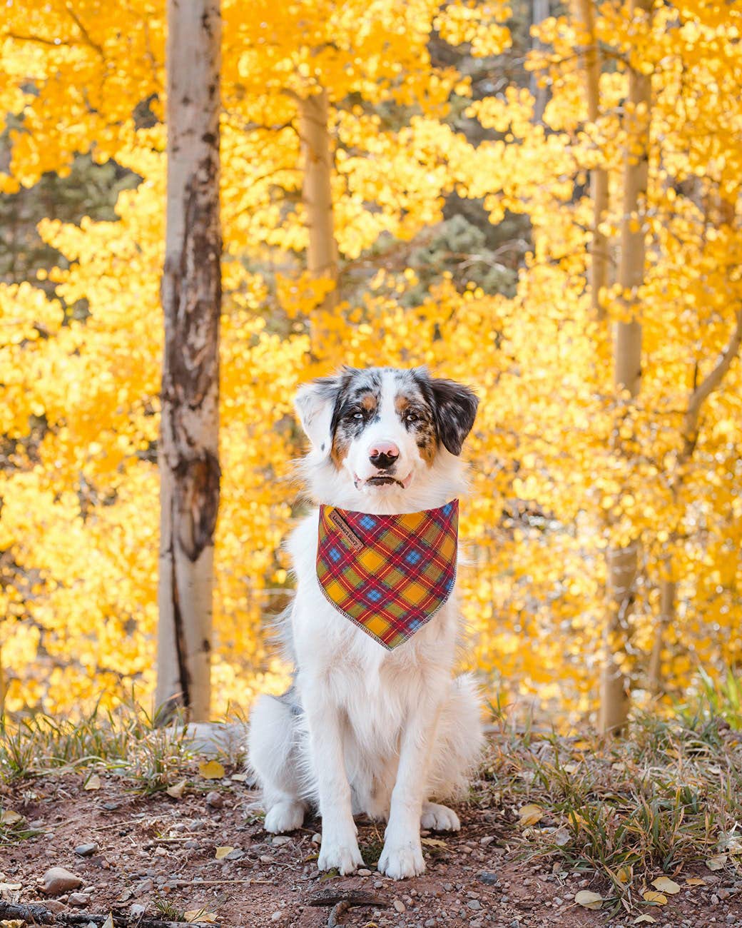 Lionheart Glory Dog Bandana 1 Pack Washable Soft Cotton Fall Plaid Bibs Scarf, Adjustable Kerchief Square Dog Bandanas For Small