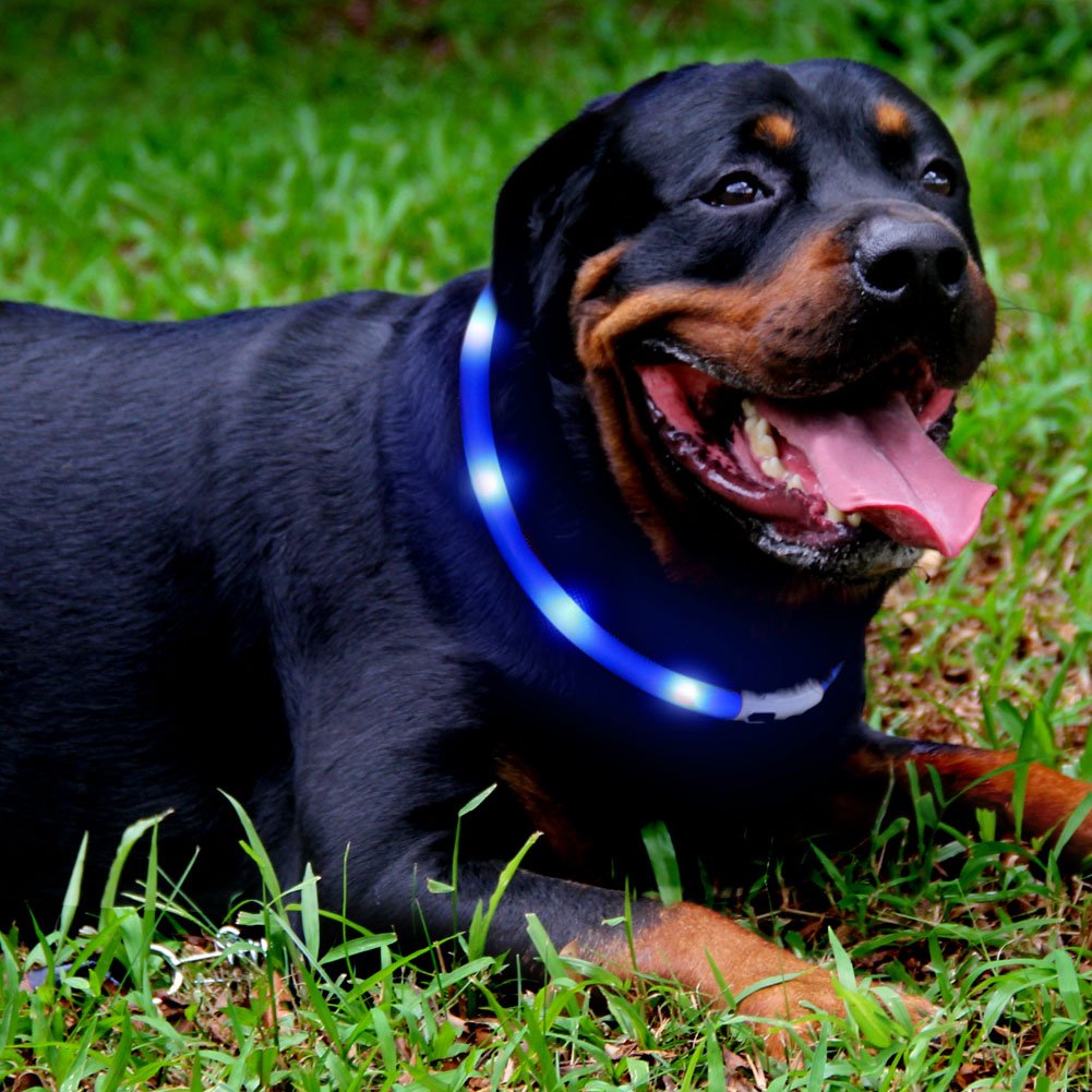2 Pack Light Up Dog Collar For Night Walking, Rechargeable Glowing Dog Collars With 1640 Feet Of Visibility - Brightest Led Dog
