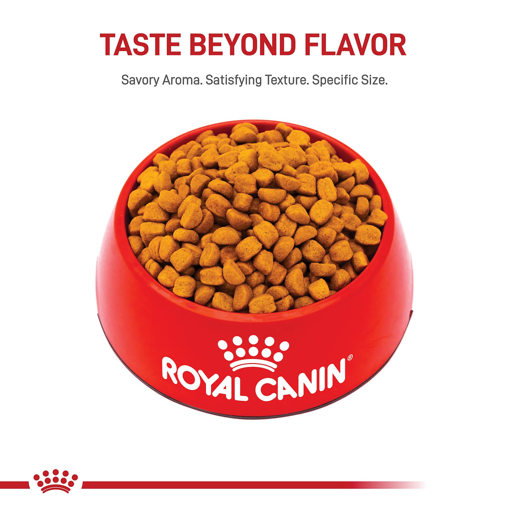 Royal Canin Breed Health Nutrition Rottweiler Puppy Dry Dog Food, 30 lb Bag