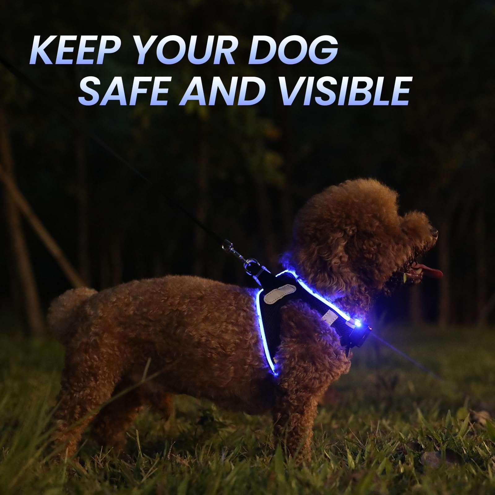 PcEoTllar LED Dog Harness - Rechargeable, Reflective, No Pull, XS, Blue