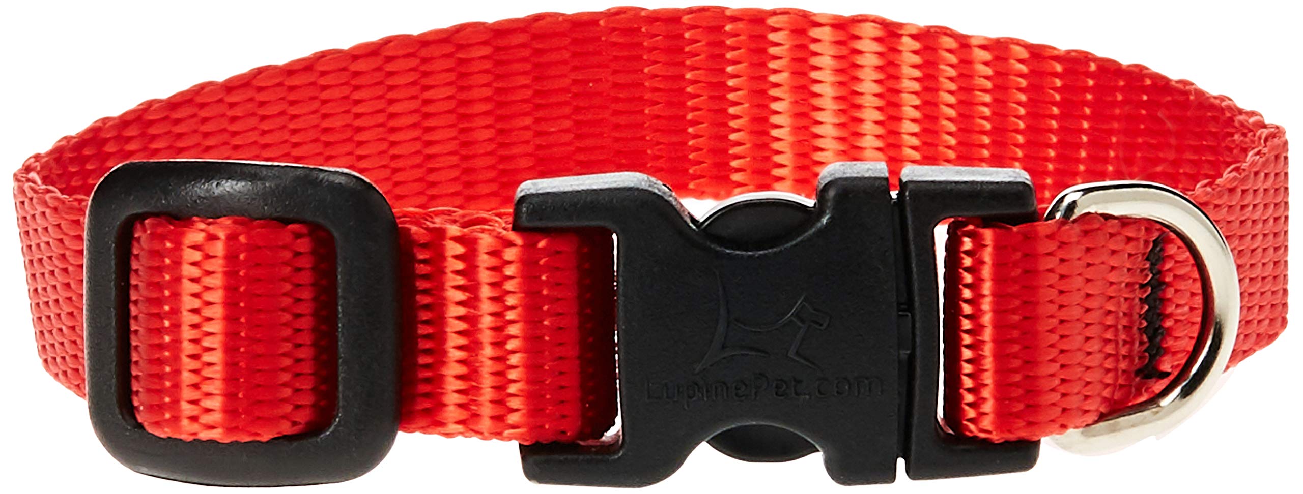 LupinePet Basics 1/2'' Red 6-9'' Adjustable Collar for Extra Small Dogs