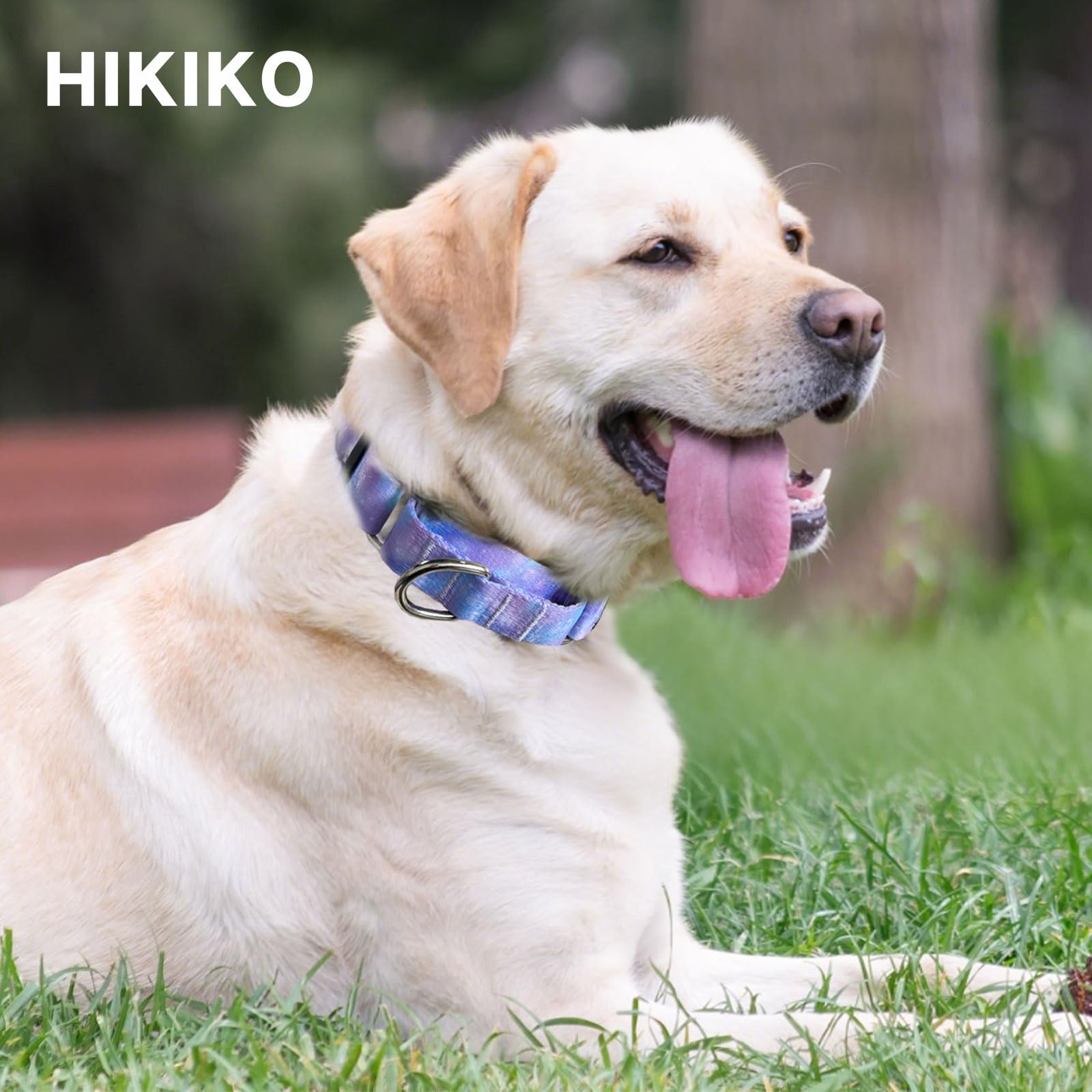 Hikiko Martingale Collar For Dogs With No Buckle Purple Gradient Training Dog Collars For Large Dogs,Tie Dye,L