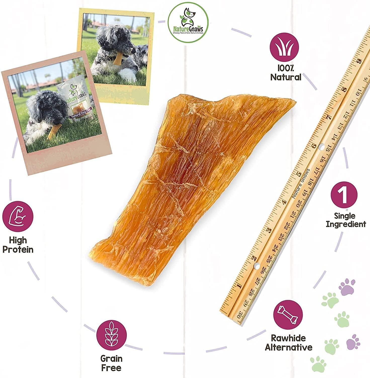 Nature Gnaws Beef Paddywack Tendons for Dogs 5-6 (10 Count) - Long Lasting for Aggressive Chewers - Natural Beef Dog Chew Bones
