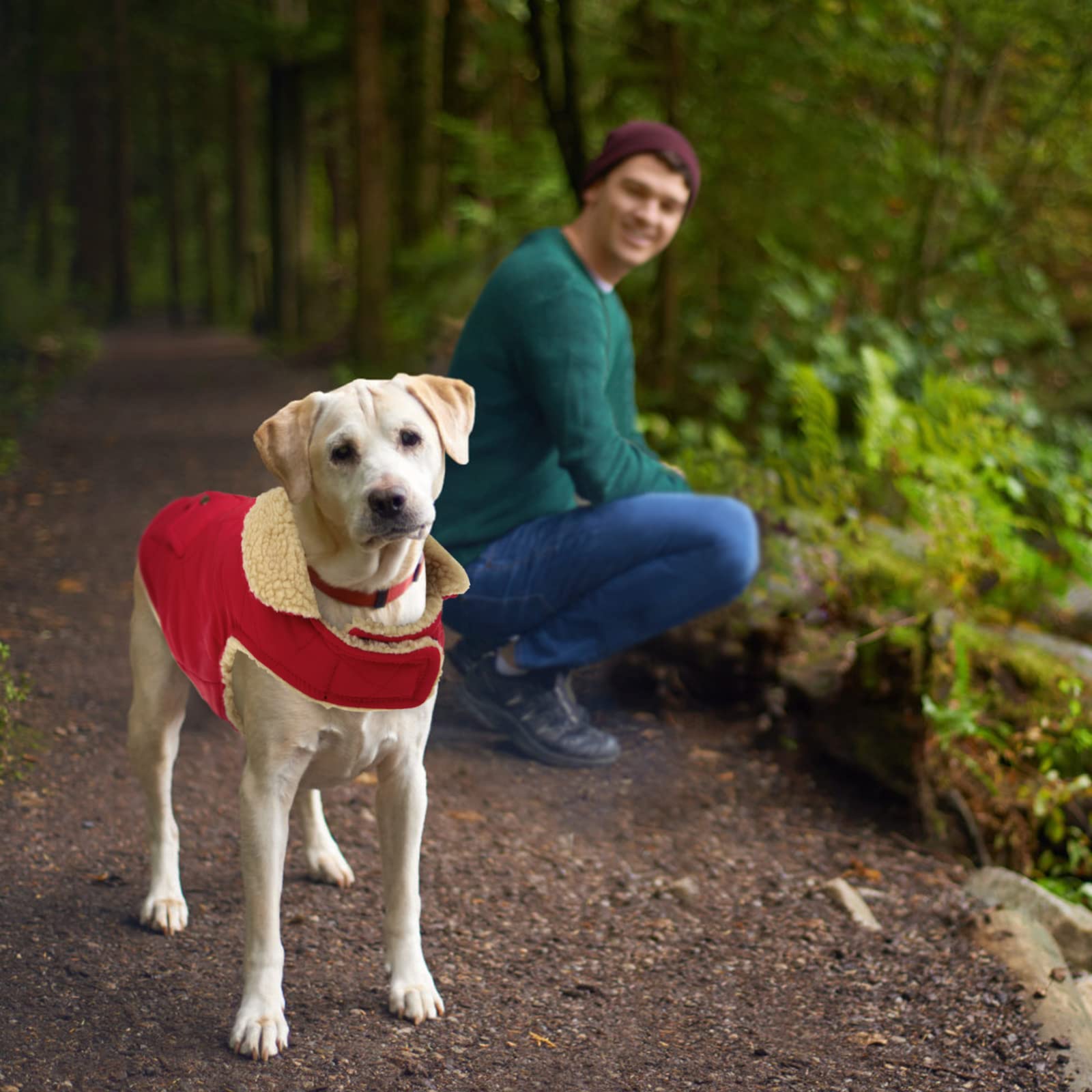 Queenmore Warm Dog Coat, Cold Weather Puffer Dog Coat, Quilting Winter Dog Jacket Ultra Thick Plush Lining With Storage Pockets (Red, X-Small)