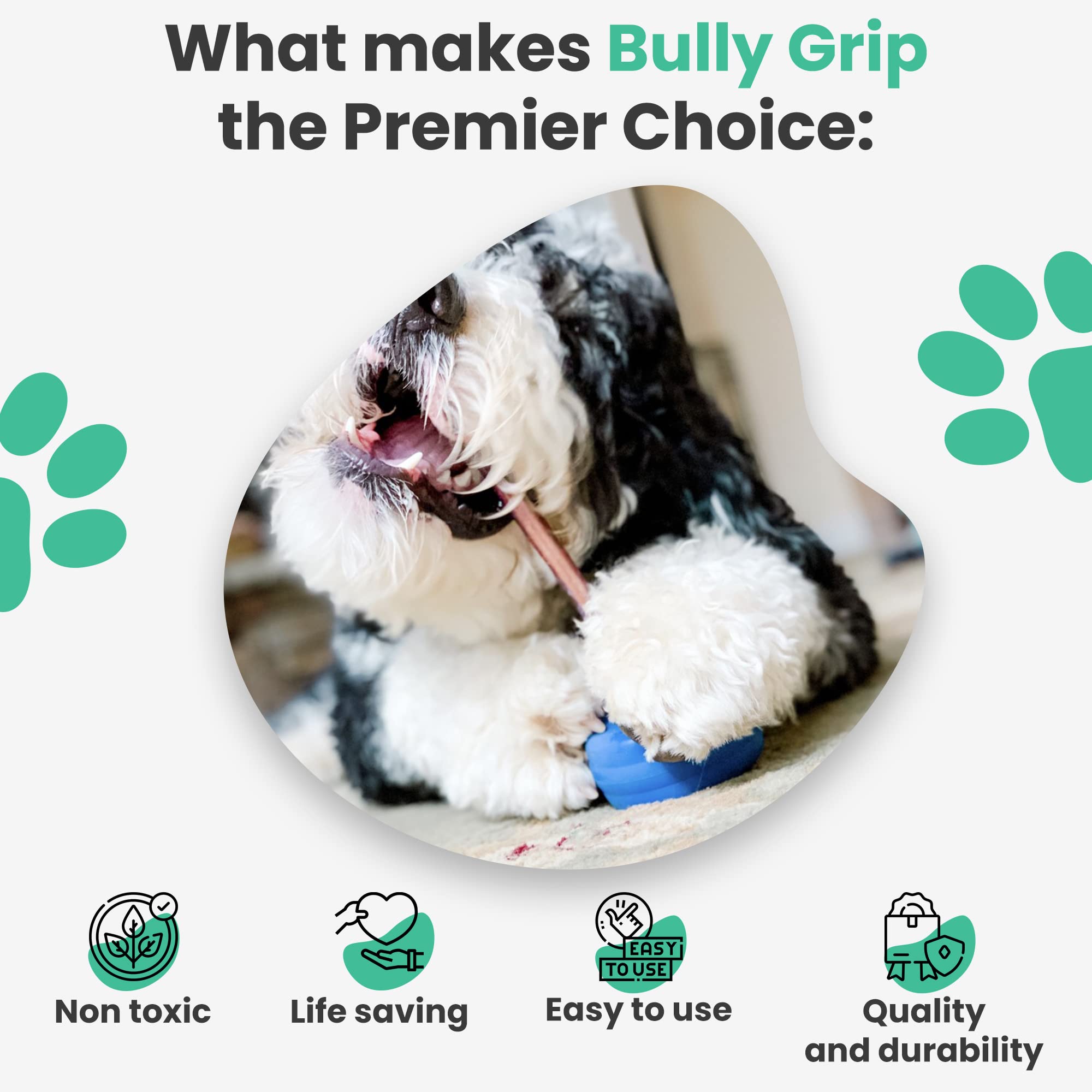 Bully Stick Holder for Dogs -Large Size - Interactive Dog Toy, Dog Treat Holder, Slow Feeder, Treat Dispenser, Chew Toy and Dog