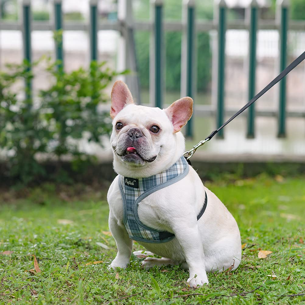 Pupteck Soft Mesh Dog Harness And Leash Set Pet Puppy Cat Comfort Padded Vest No Pull Harnesses, Sky Blue, S