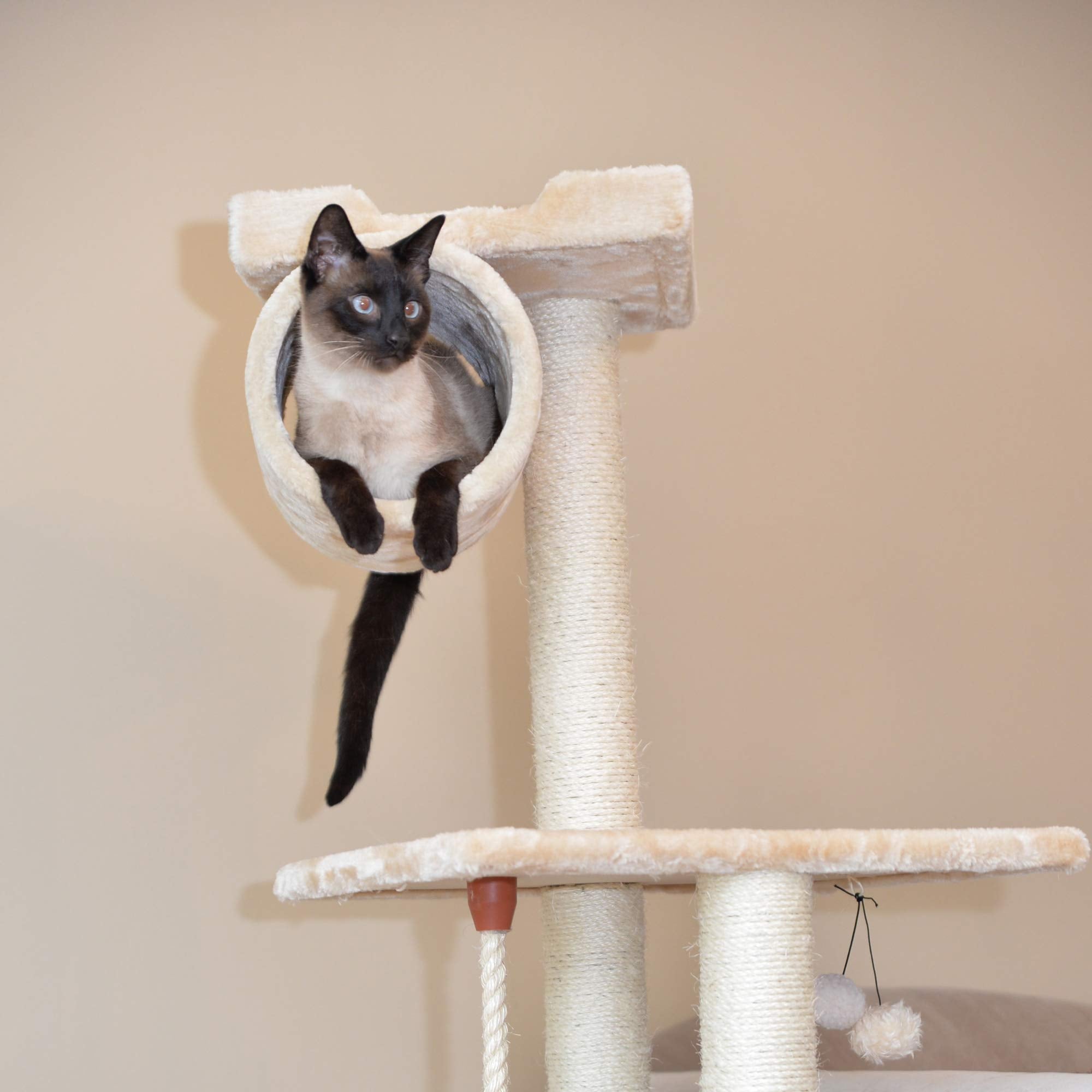 Armarkat Cat Tree Model A6202, Beige, 36'(L)X20'(W)X62'(H)