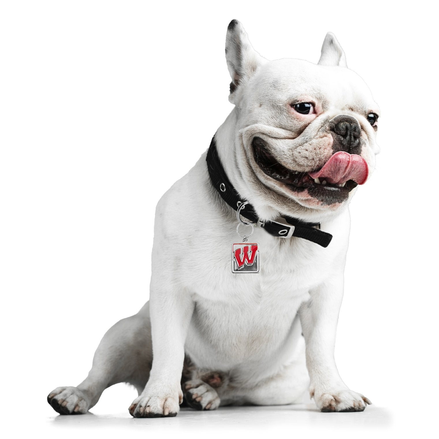 Little Earth Ncaa Wisconsin Badgers Pet Collar Charmncaa Pet Collar Charm, Silver, 1.25' By 1.325'