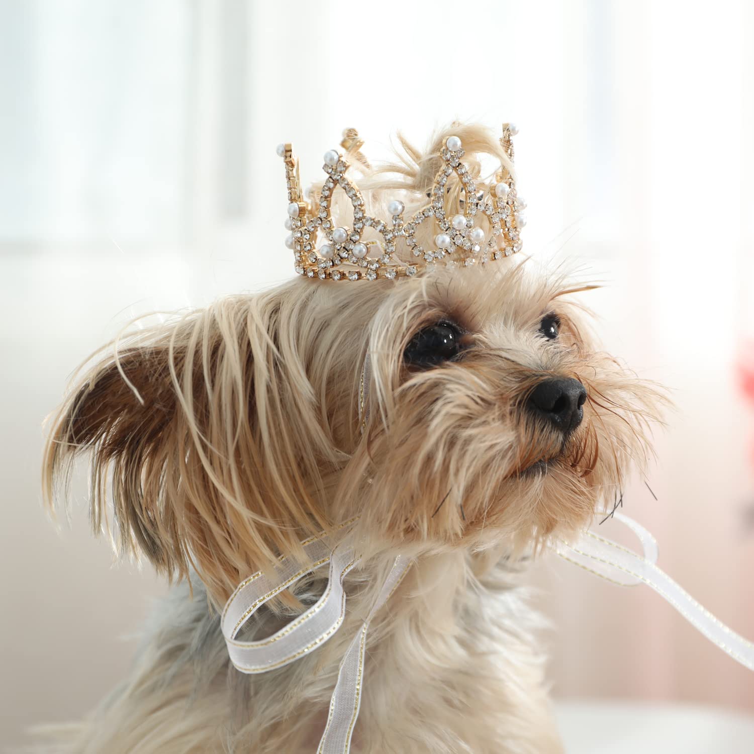 Lovelyshop Pet Series Gold Plated Royal Rhinestone Pearl Full Round Dog/Cat Crown For Rolyal Family Costume Hair Accessories-Xsm
