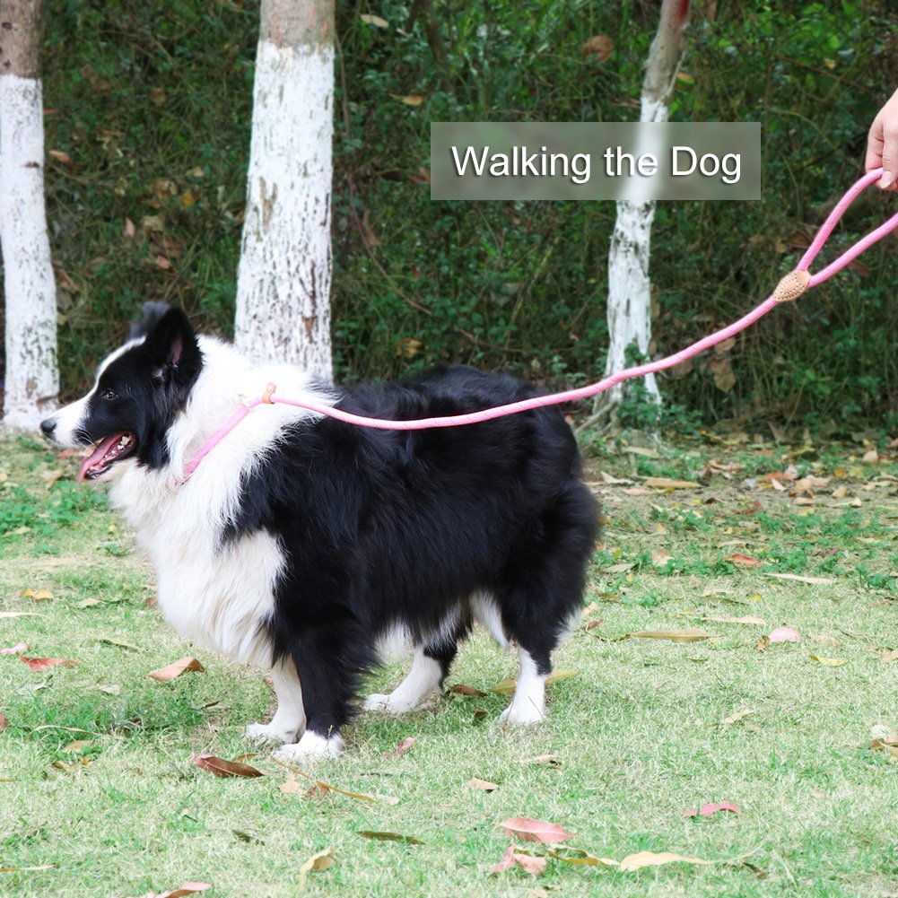 Grand Line Slip Lead Dog Leash, 5Ft Reflective Slip Rope, Puppy Training Walking Controlling Lead, Slip Collar Pet Leash For Small, Medium, Large Dogs (Pink, Small-1/4In X 5Ft)