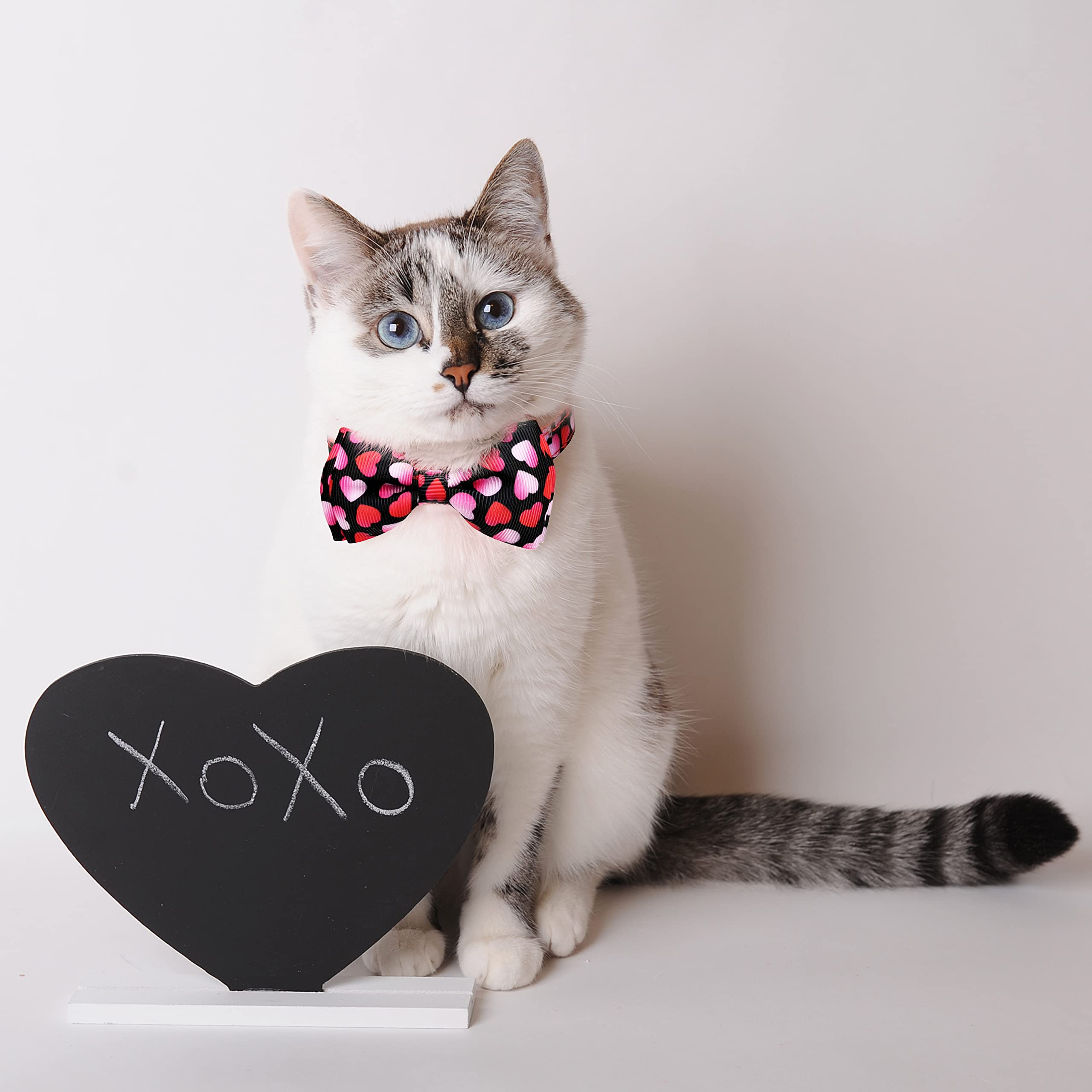 2 Pack Valentine Holiday Dog Bow Tie Collar,Heart Dog Collar For Large Medium Small Pets Puppies (Large)