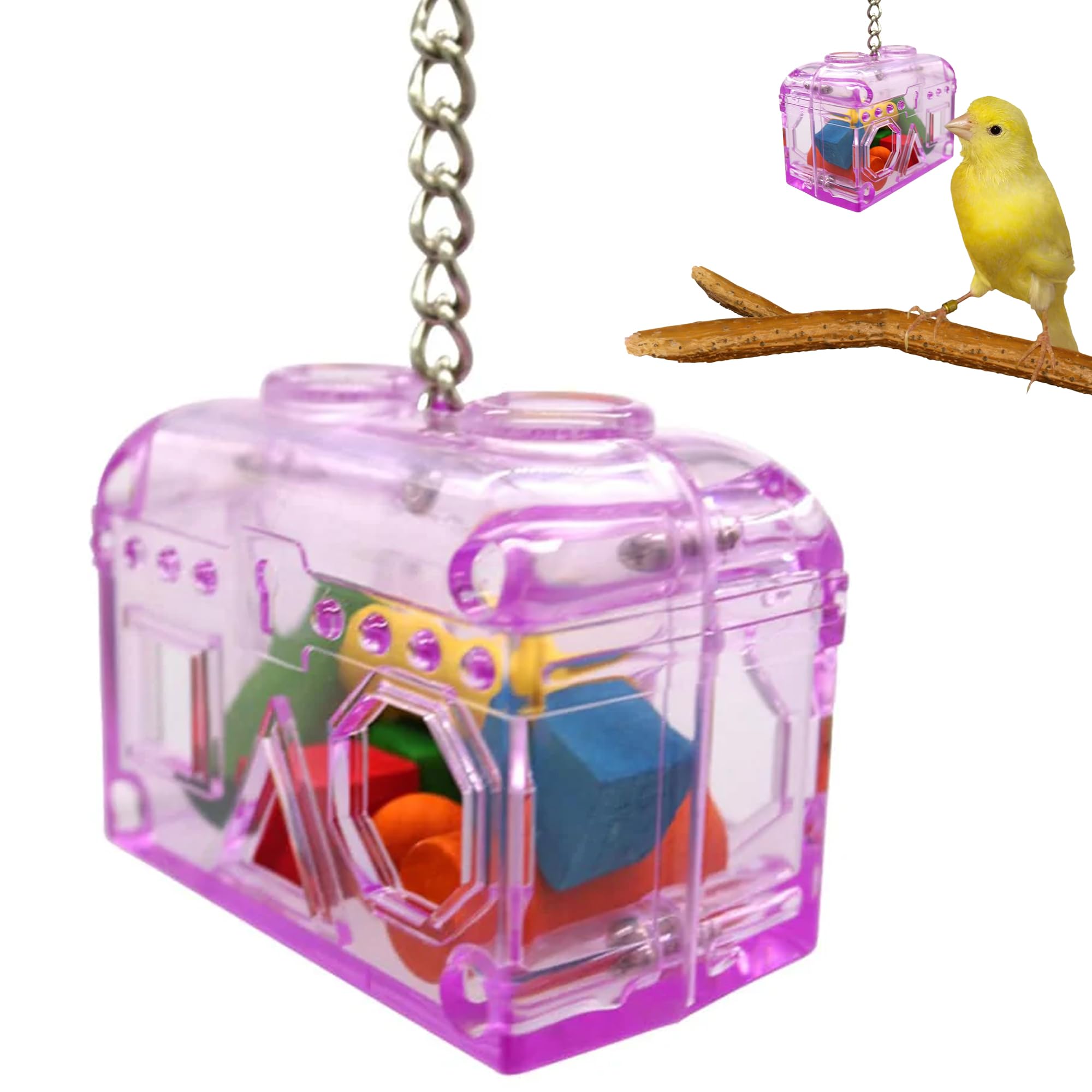 Sweet Feet and Beak Large or Small Treasure Chest - Perfect Bird Cage Toy Colorful, Safe, Easy to Install - Washable, Refillable
