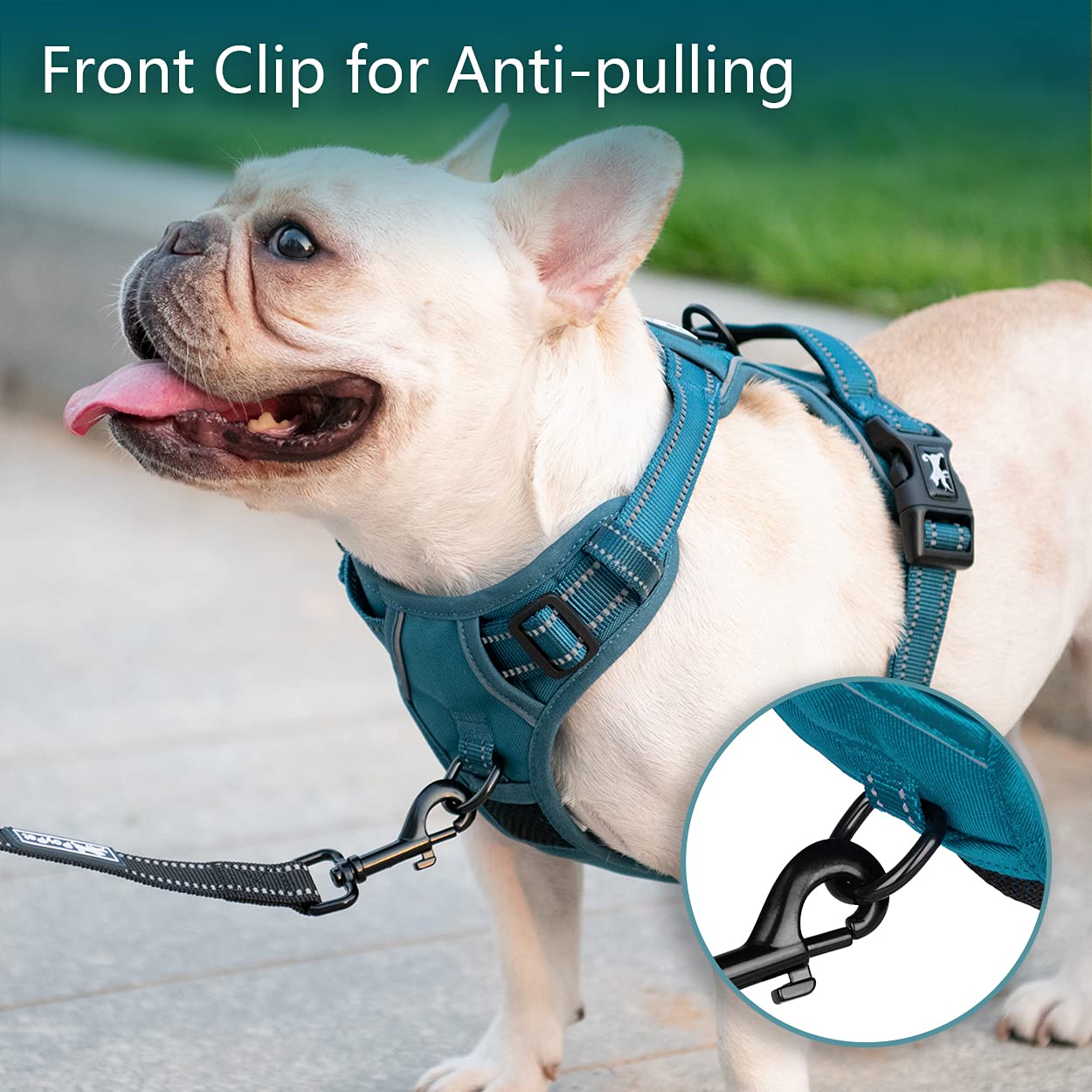 Poypet No Pull Dog Harness, No Choke Reflective Dog Vest, Adjustable Pet Harnesses With Easy Control Padded Handle For Small Medium Large Dogs(Tumalo Teal,S)