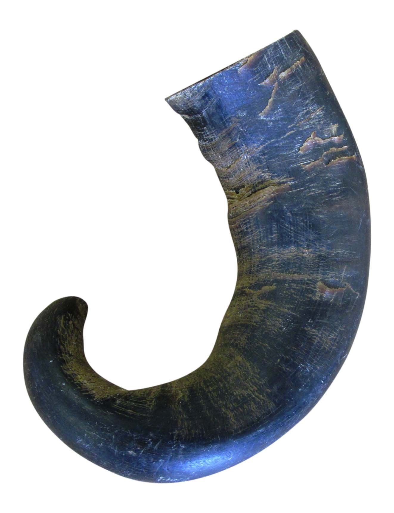 Qt Dog - Buffalo Horn Medium