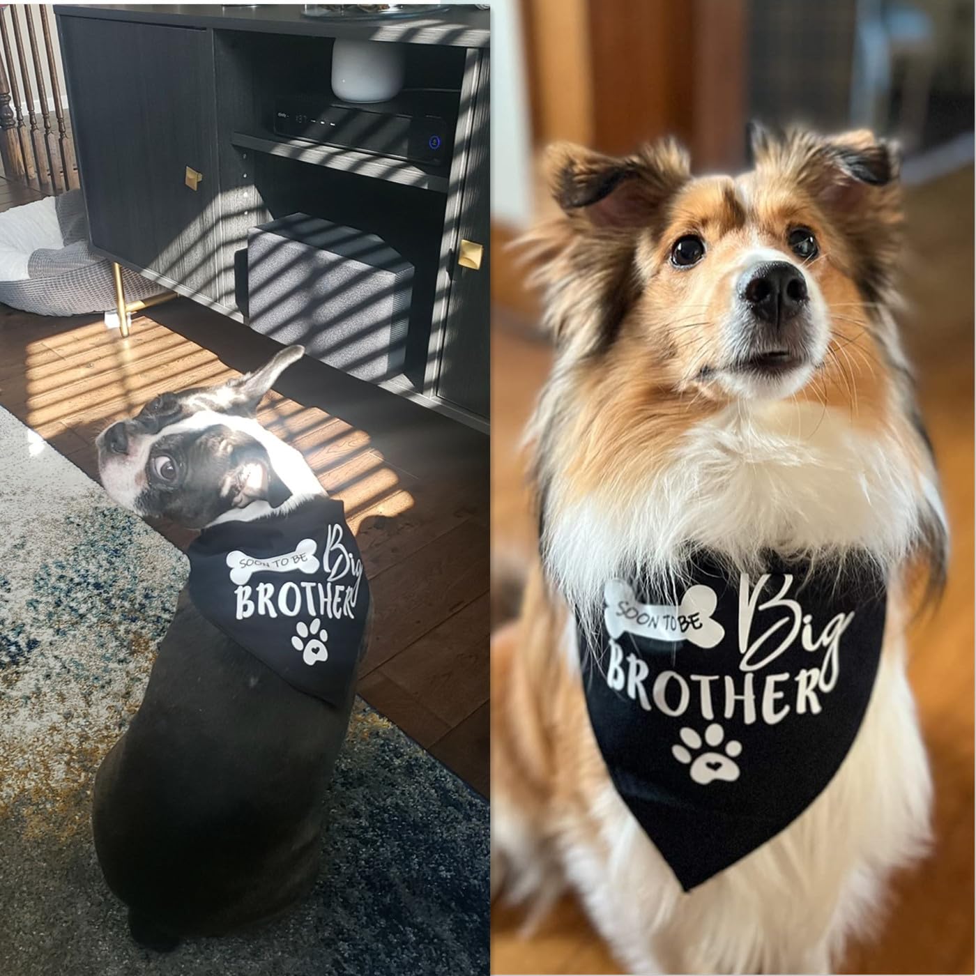 Big Brother Dog Bandana Reversible Triangle Bibs Pet Scarf
