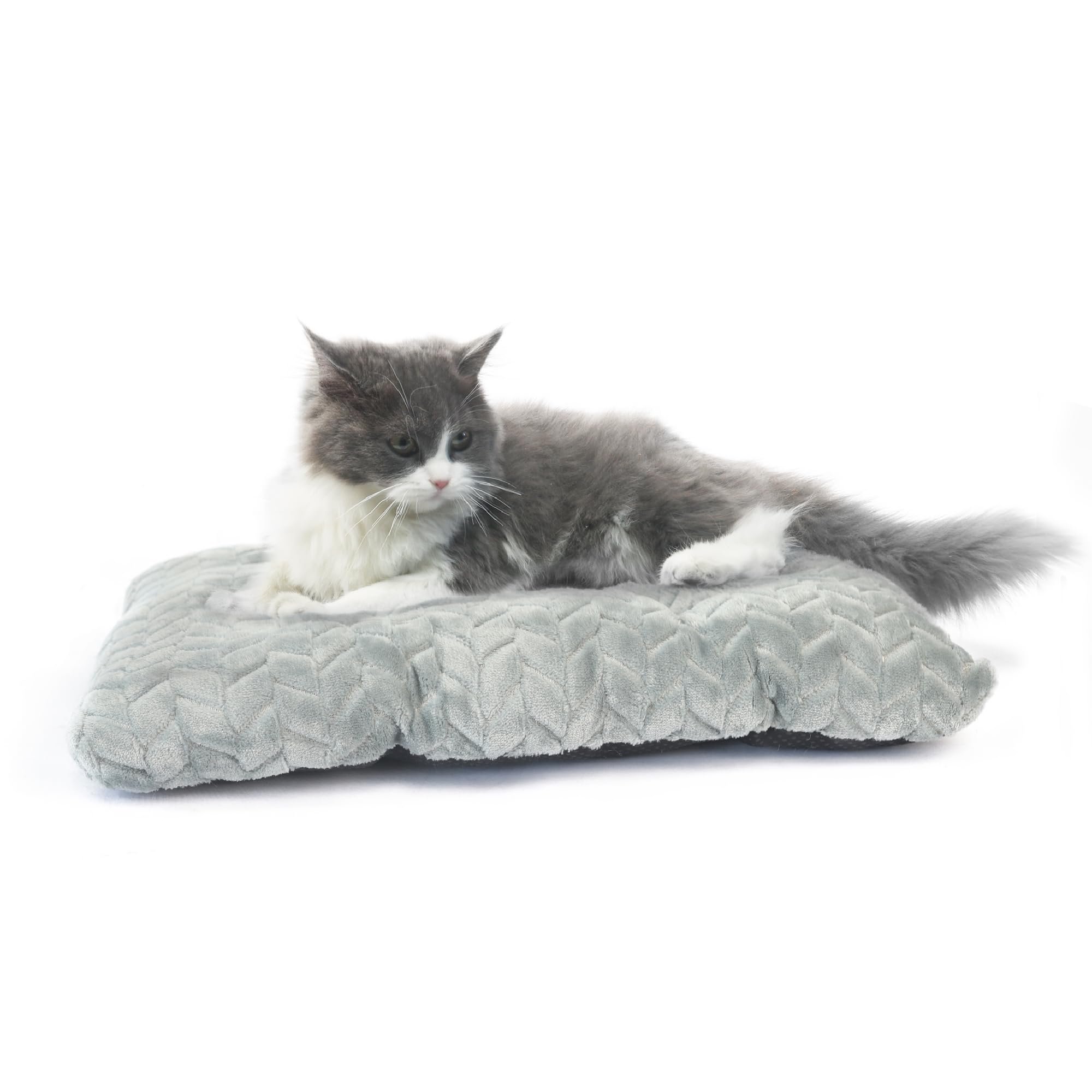 Small Dog Bed For Crate Washable 18 Inch Dogs Mats For Sleeping,Up To 10 Lbs Fluffy New Born Puppy For Carrier Tire Printing Gra