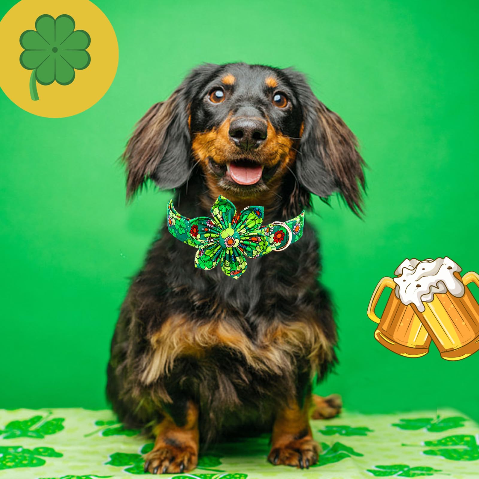 Lionheart Glory St. Patrick'S Day Dog Collar With Flower-Lucky Clover Shamrock Dog Bow For Large Dogs - Green Spring Trefoil Dog