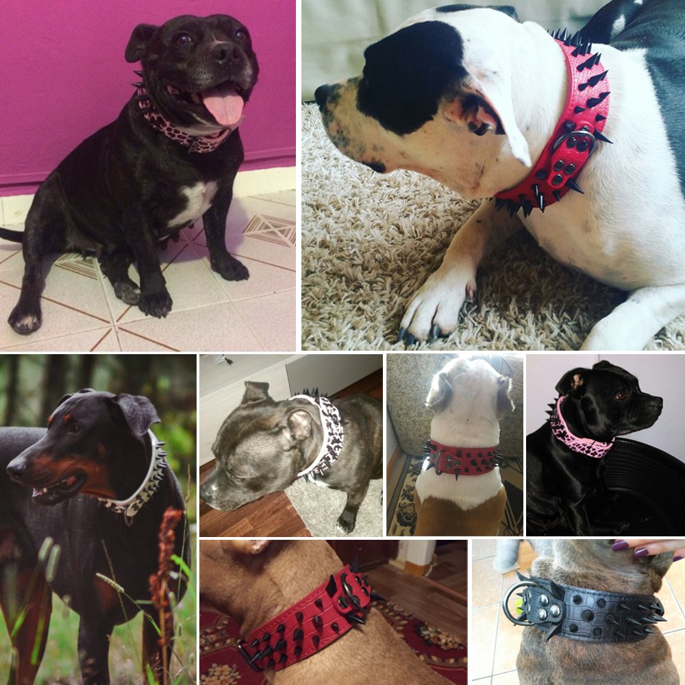 Berry Pet Sharp Spiked Studded Dog Collar - Stylish Leather Dog Collars - 2 Inch In Width Fit For Medium & Large Dogs - Such As Pitbull Mastiff - Black Rivets & Red Leather,21-24'