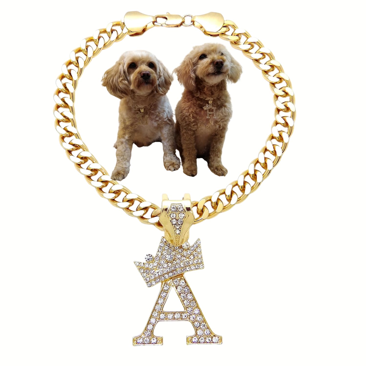 Ba Unique Fashion Initial Letter Cuban Chain Dog Chain Pet Chain Pet, Cat, Puppy Necklace (A, 10'')