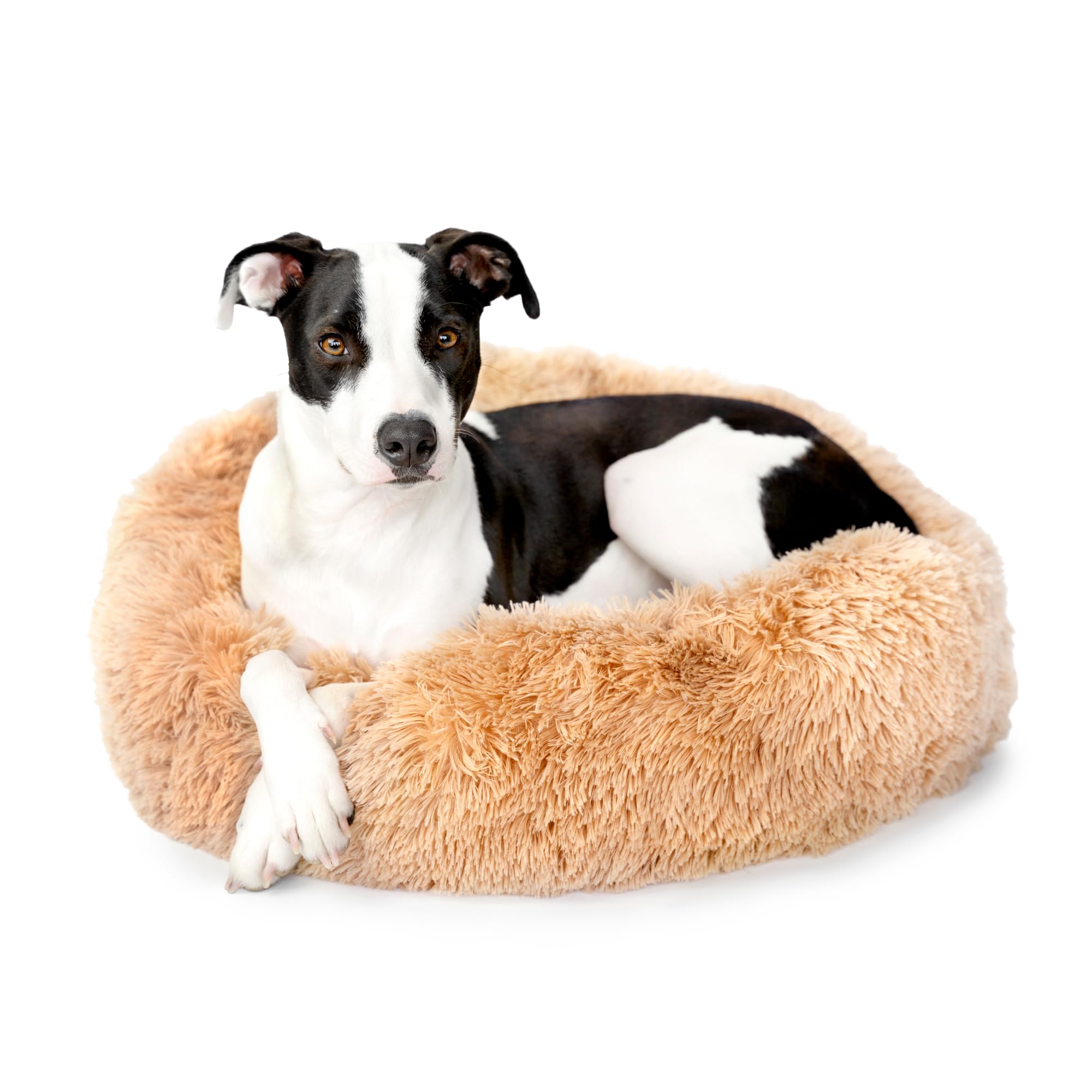 Barkbox 2in1 Memory Foam Dog Cuddler Bed | Plush Orthopedic Joint Relief Crate Lounger or Donut Pillow Bed, Machine Washable +