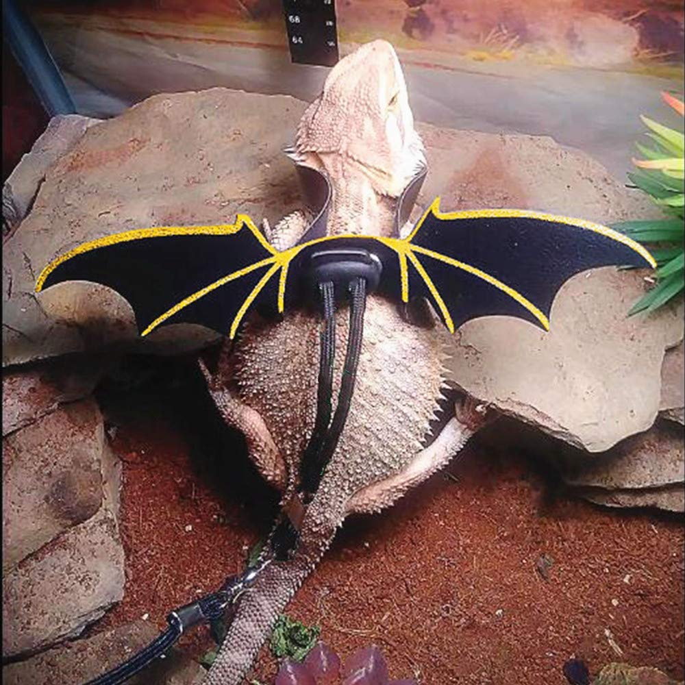 Adjustable Lizard Leash Bearded Dragon Harness Cool Leather Wings Safety Walking Leash(S,M,L,3Pack)