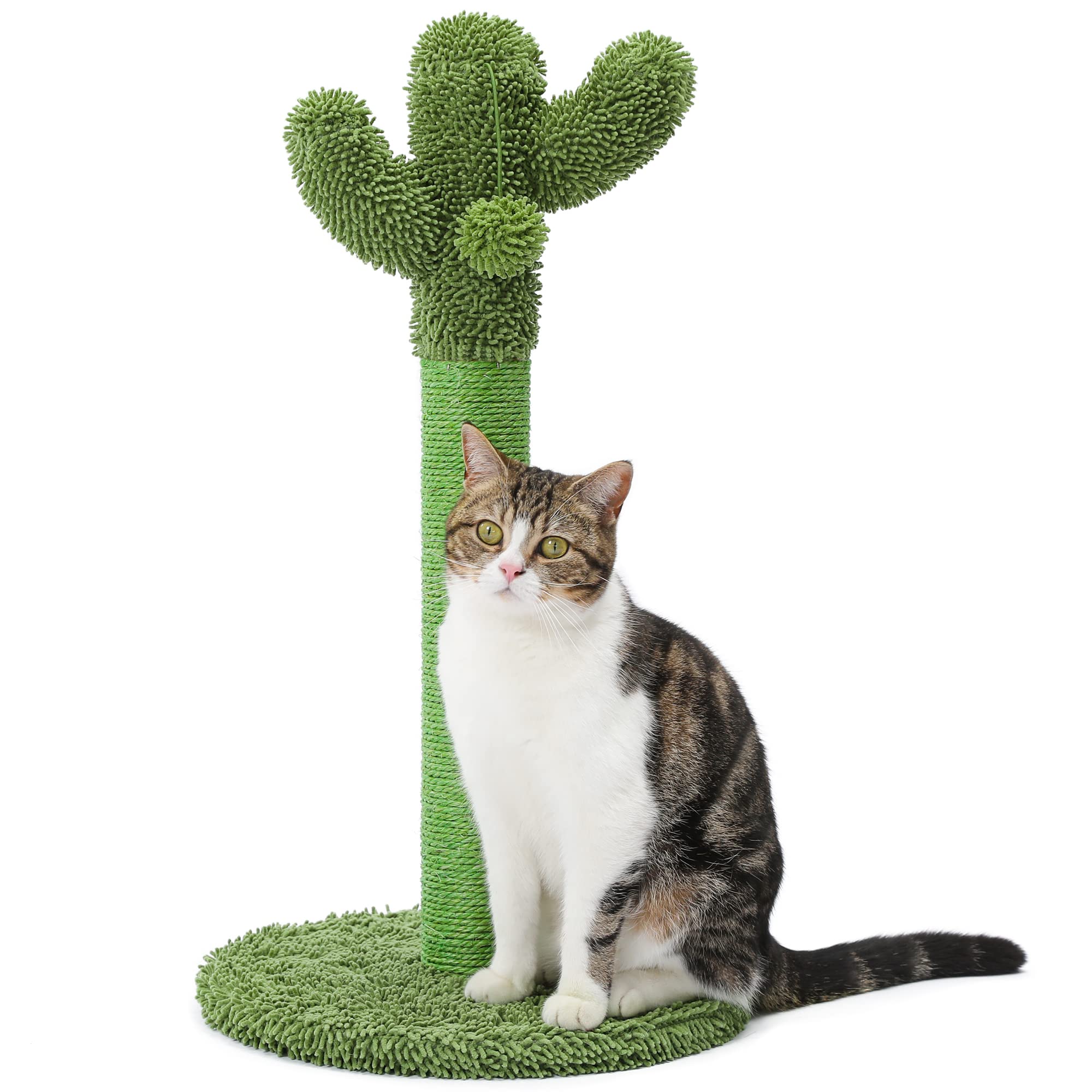 Made4Pets Cat Scratching Post, 21.7  Cactus Cat Scratcher Kitten Scratching Post with Natural Sisal Rope for Indoor Cats Claw Sc