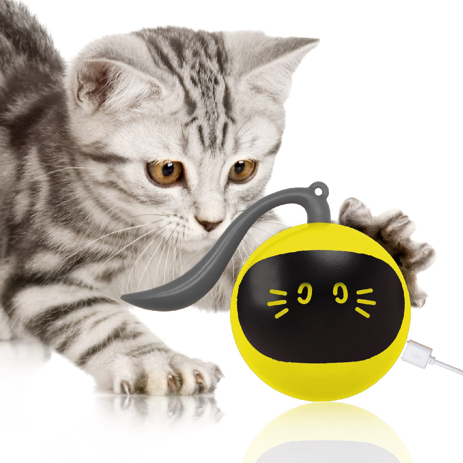 Fofos Cat Toys 360Self Rolling Ball Toy Interactive Toys Cat Wand Teaser Toys Usb Charging Hunting Exercise Toys Indoor Gifts Fo