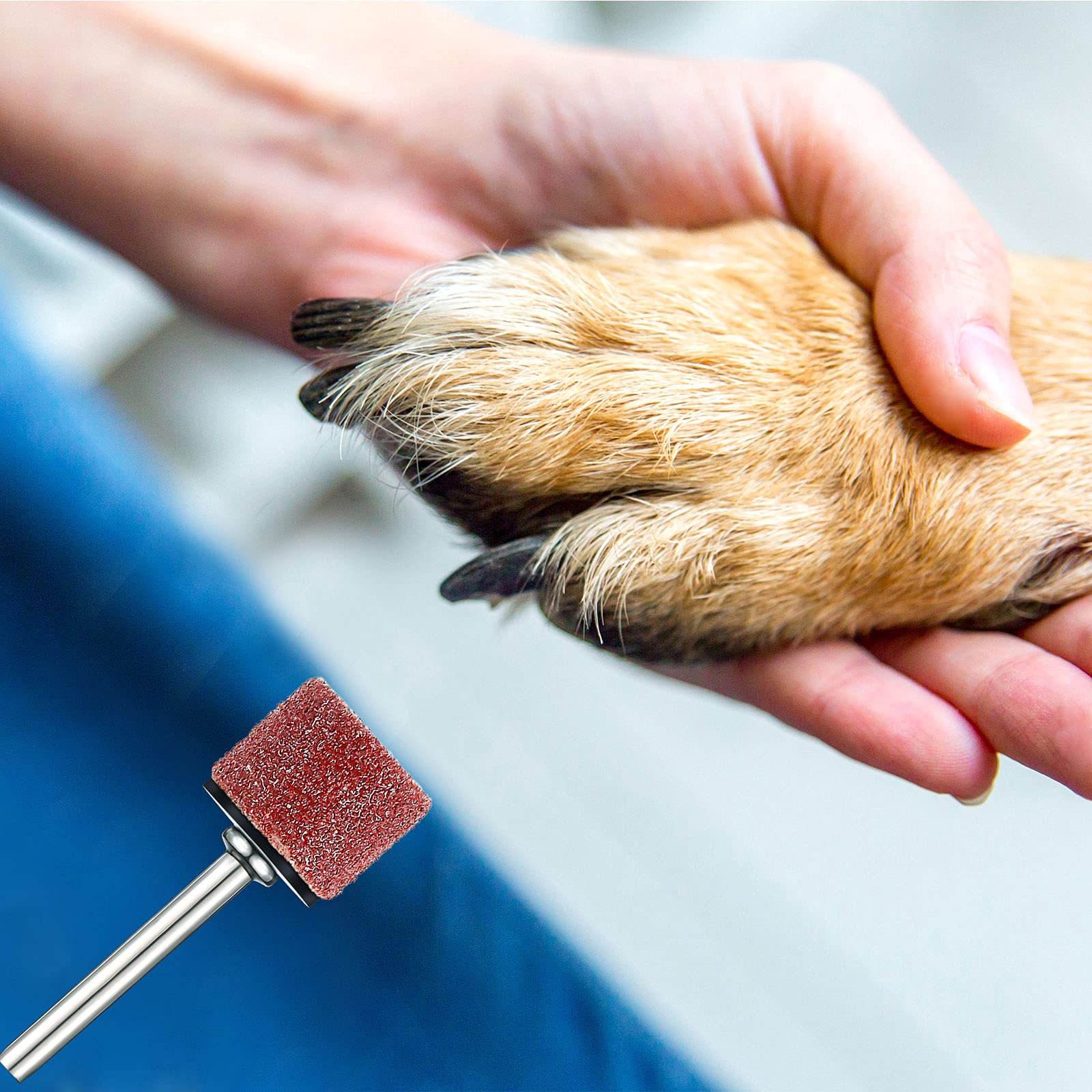 Leelosp Pet Nail Grinder Replacement Kit - 22 Grit Sanding Bands, 1/2 Inch, 60 and 100 Grit for Dog Claw Care and Grooming Supplies