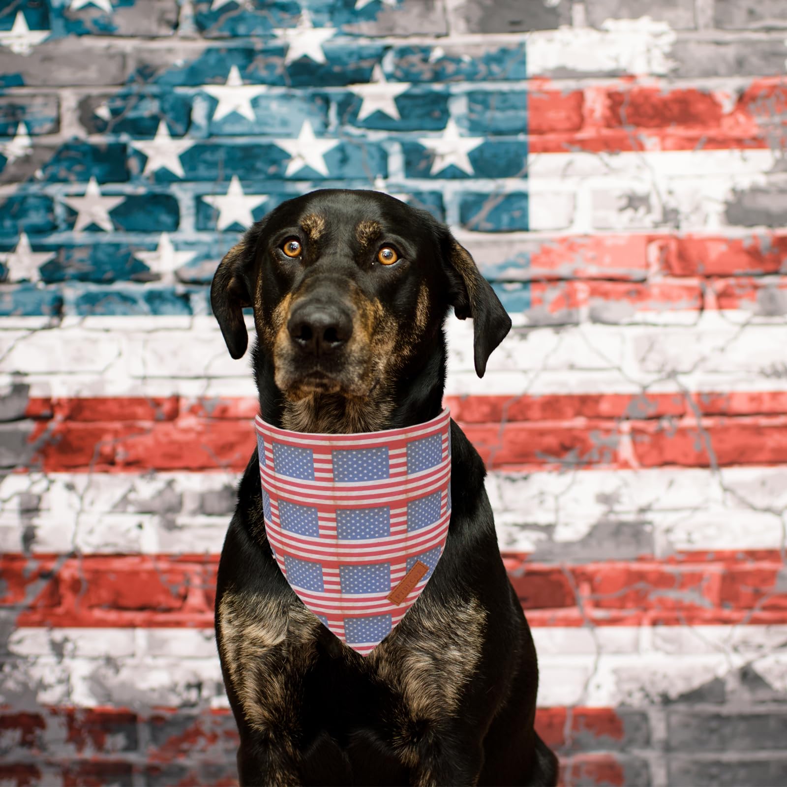 Ptdecor American Flag Dog Bandana Flag Stars Patterns, Patriotic Pet Scarf Reversible Triangle 4Th Of July Bandanas For Large X-