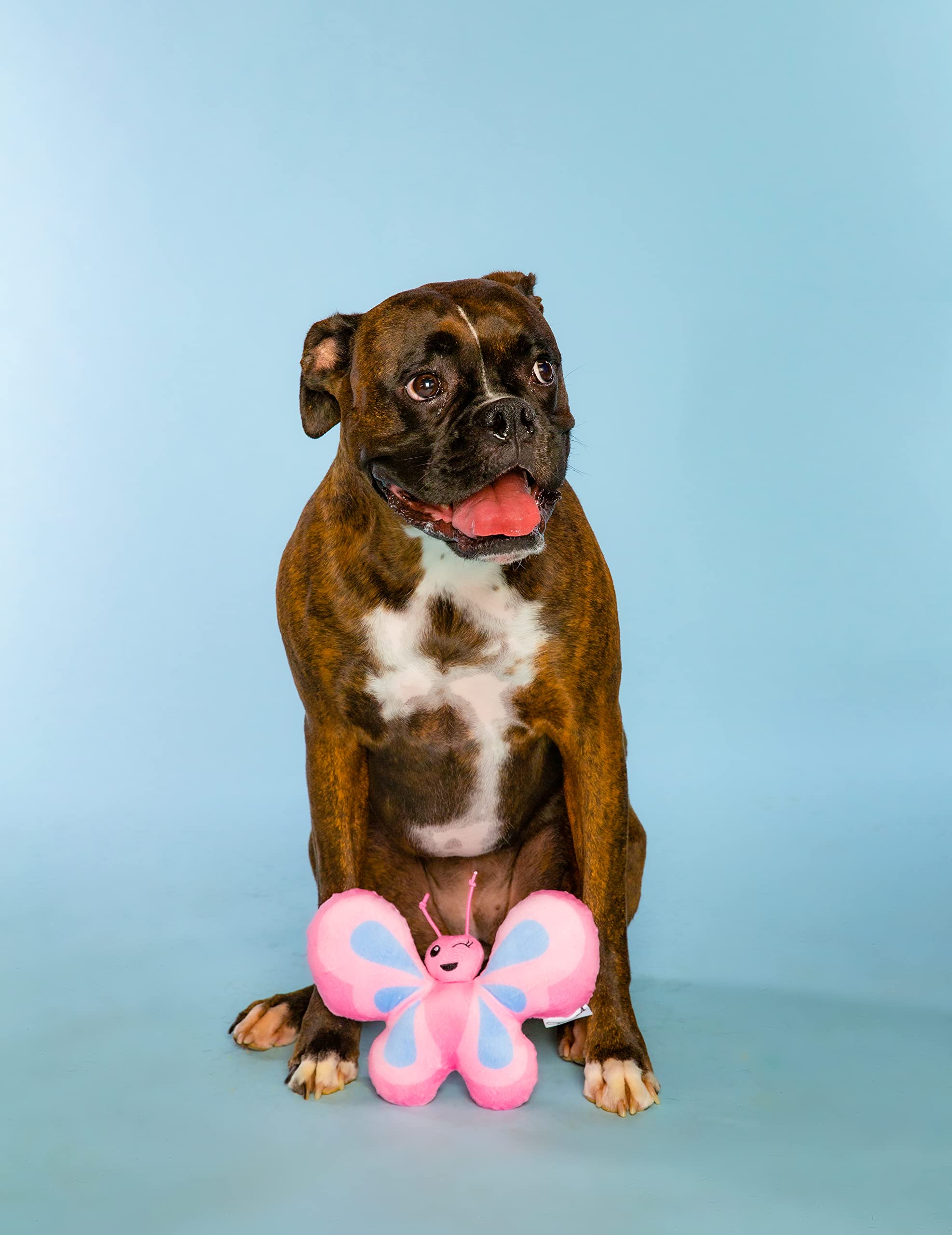 Doggy Parton Pink Winking Butterfly Toy - O/S