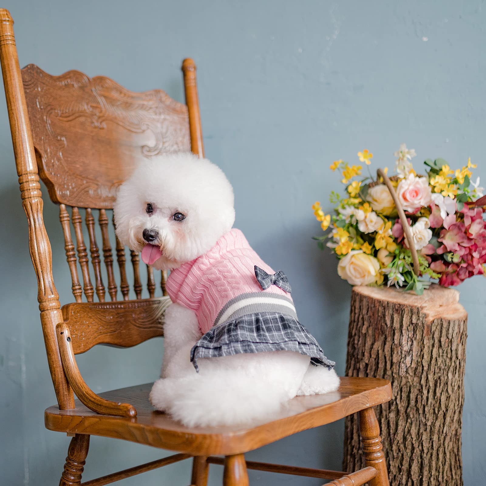 Pawchie Dog Sweater Dress With Bowtie - Dog Turtleneck Pullover Knitwear For Small Dogs Girls Cold Weather Sweater With Leash Ho