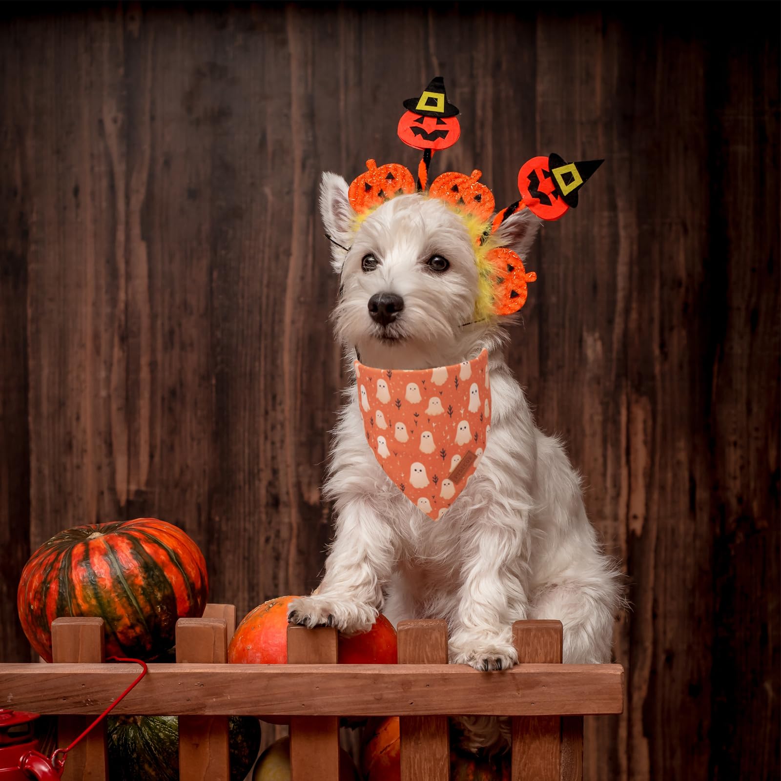 Ptdecor Halloween Dog Bandana, Ghost Pumpkin Design Reversible Holiday Dog Scarf, Triangle Halloween Bandanas For Small Dogs Pup