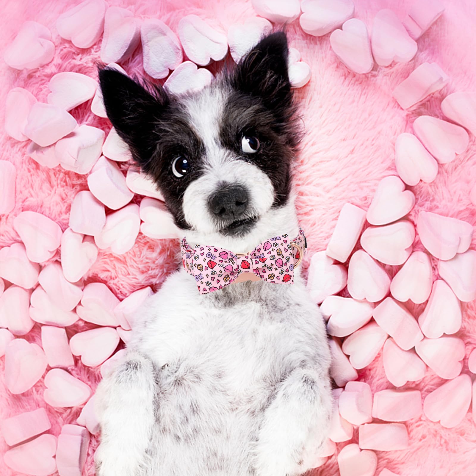 Unique Style Paws Valentine'S Day Dog Collar With Bow Tie Xo Red Lips Puppy Collar Best Gift For Small Medium Large Boys Girls-L