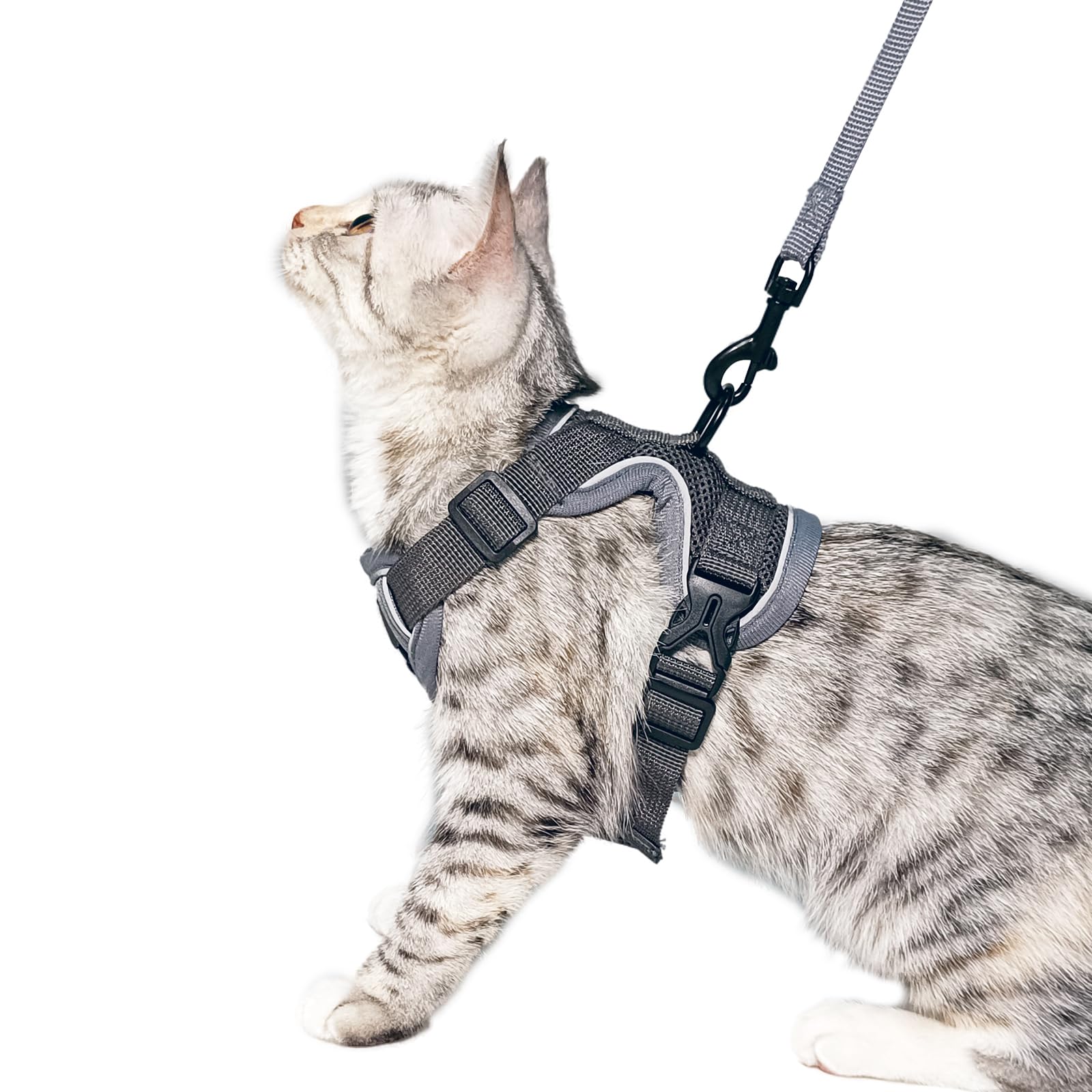 pangdi Cat Harness and Leash Set Escape Proof Tactical Extra Large Kitten Harness Emotional Support Cat Vest, Grey, XL