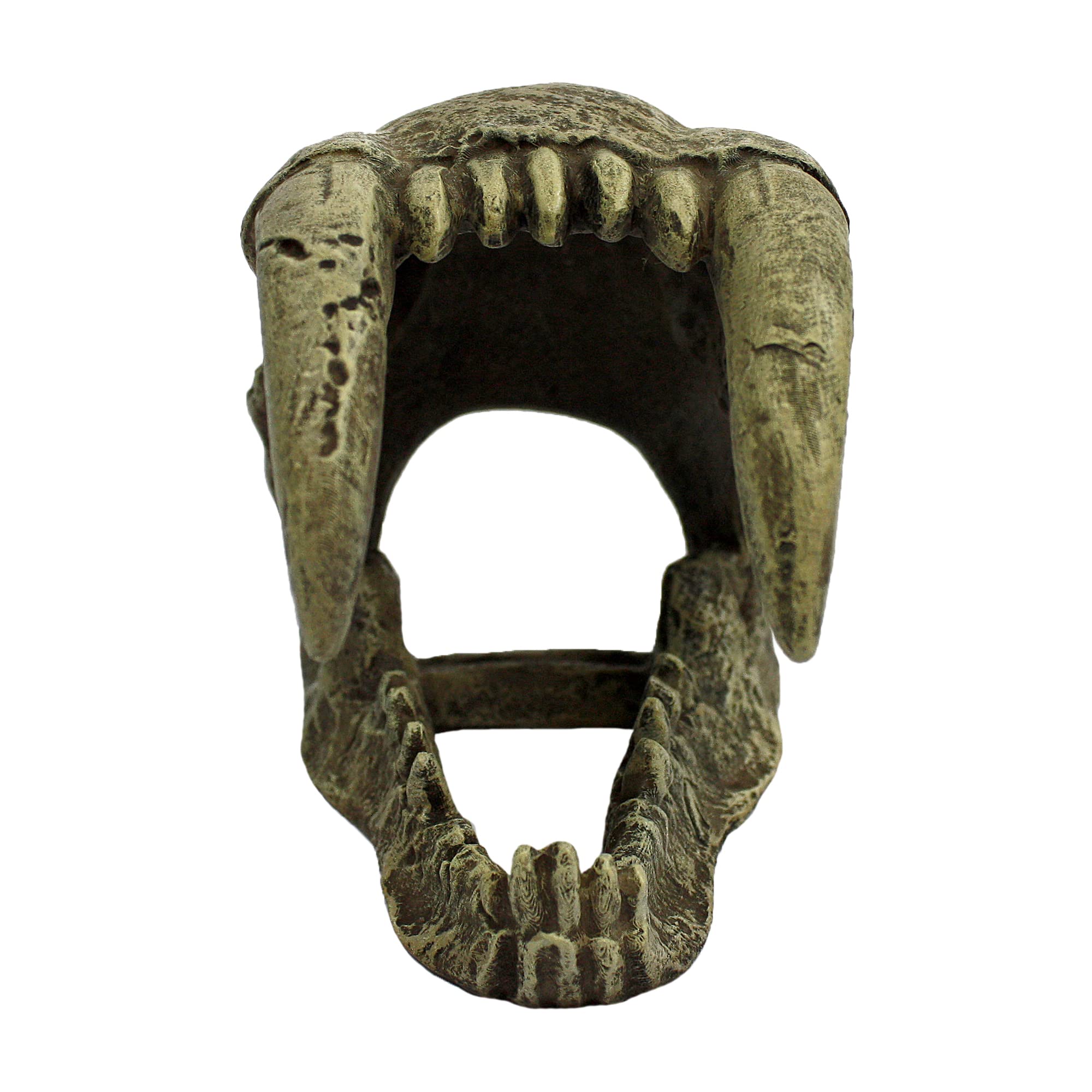 Komodo Saber Tooth Skull Terrarium Decoration