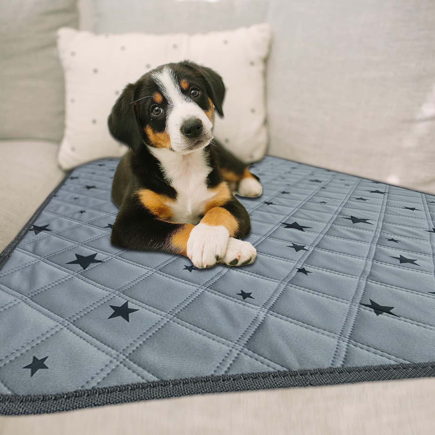 Rioussi Washable Pee Pads For Dogs, Reusable, Absorbent, Leakproof, Non Slip Pet Puppy Pads For Potty Training. Gray Stars, 20X28 Inch(2Pack)