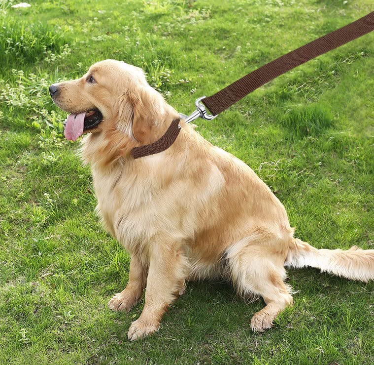 Taian 4Ft/5Ft/6Ft Strong Dog Leash, Nylon Dog Leashes For Small Medium Large Dogs (1 In X 6 Ft, Brown)