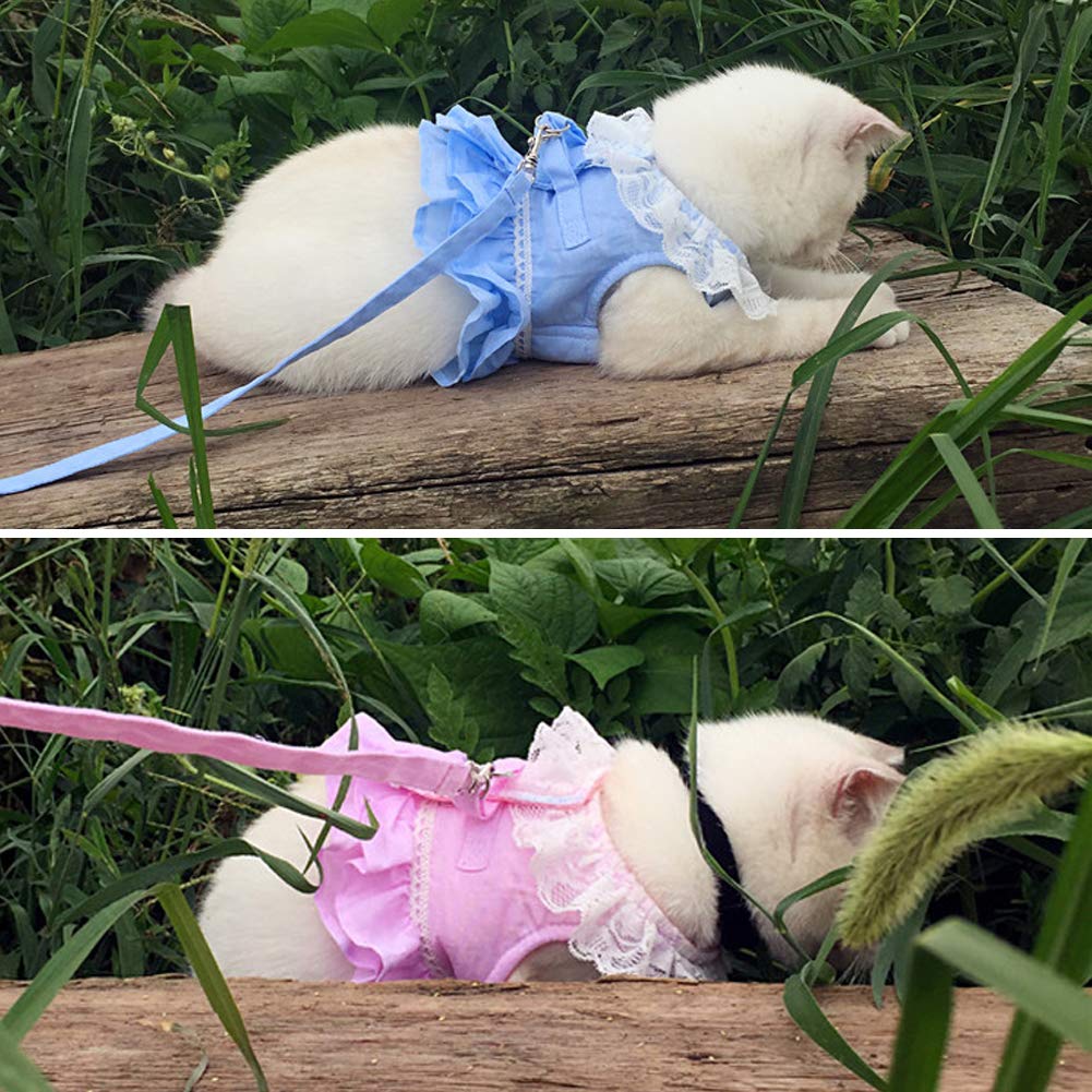 Creation Core Breathable Cat Lace Dress Harness With Matching Lead Leash Set(Blue,M)