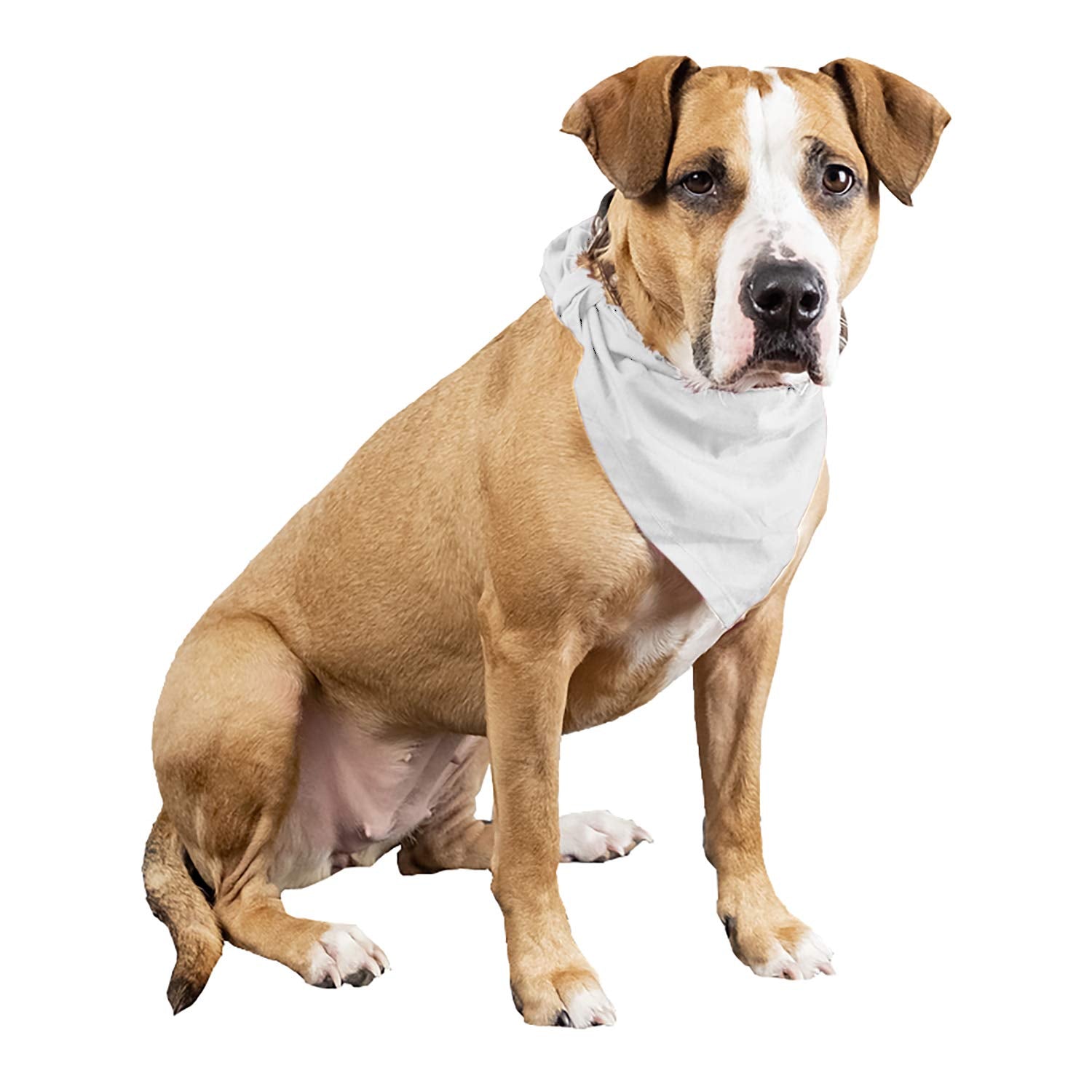 4 Pcs Plain Cotton Pets Dogs Bandana Triangle Shape - Large & Washable (White)